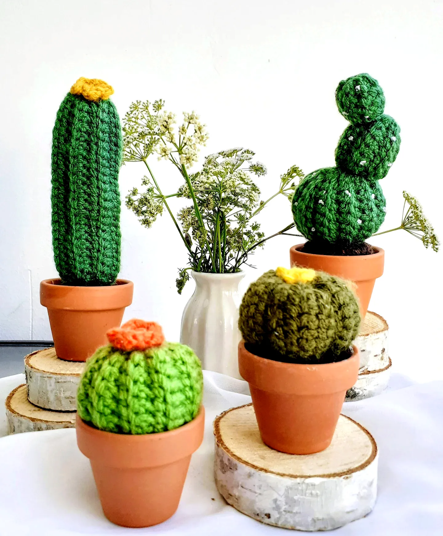 Adorable Crochet Cactus Set in Vibrant Colors