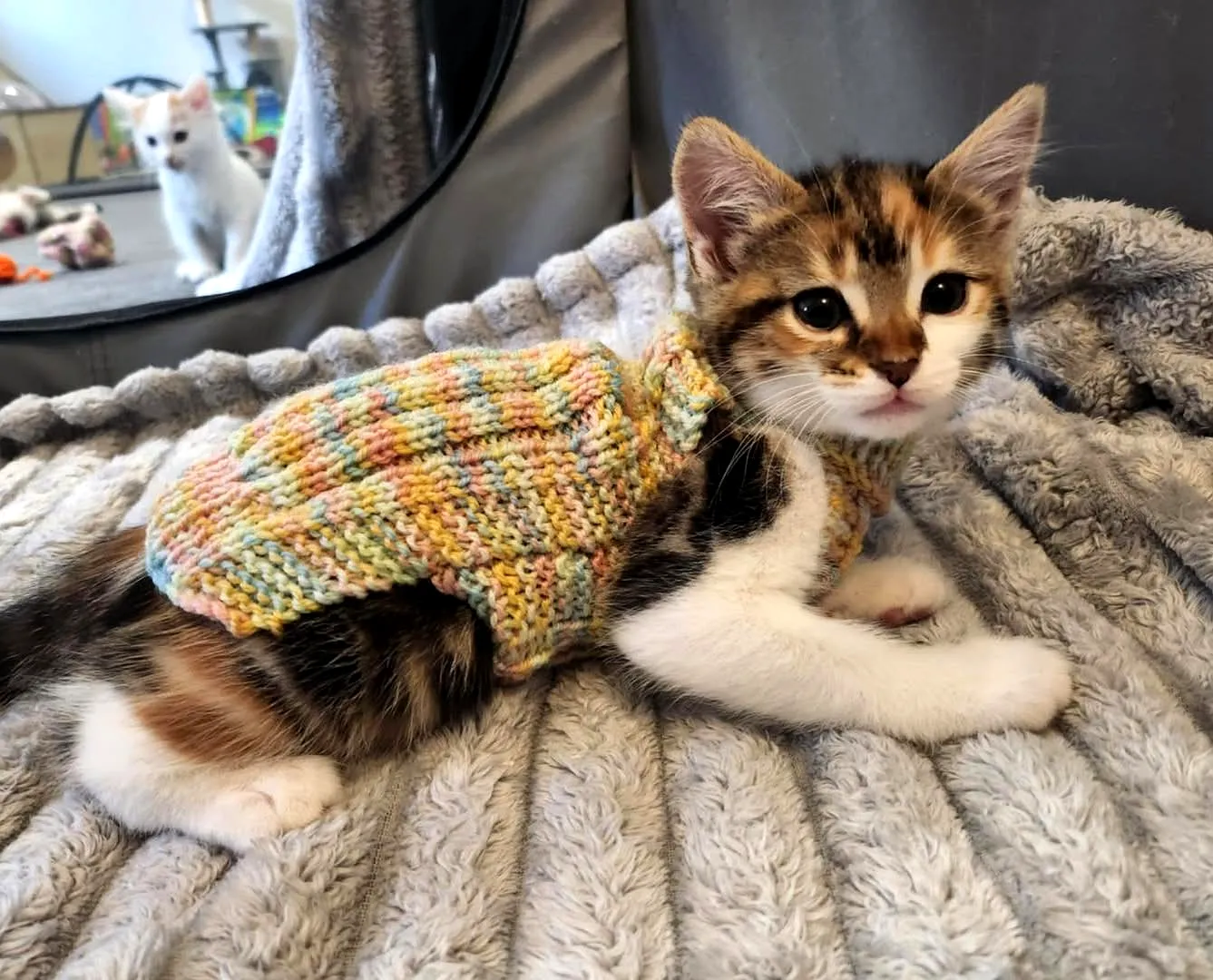 Adorable crochet cat sweater in pastel colors for cozy comfort