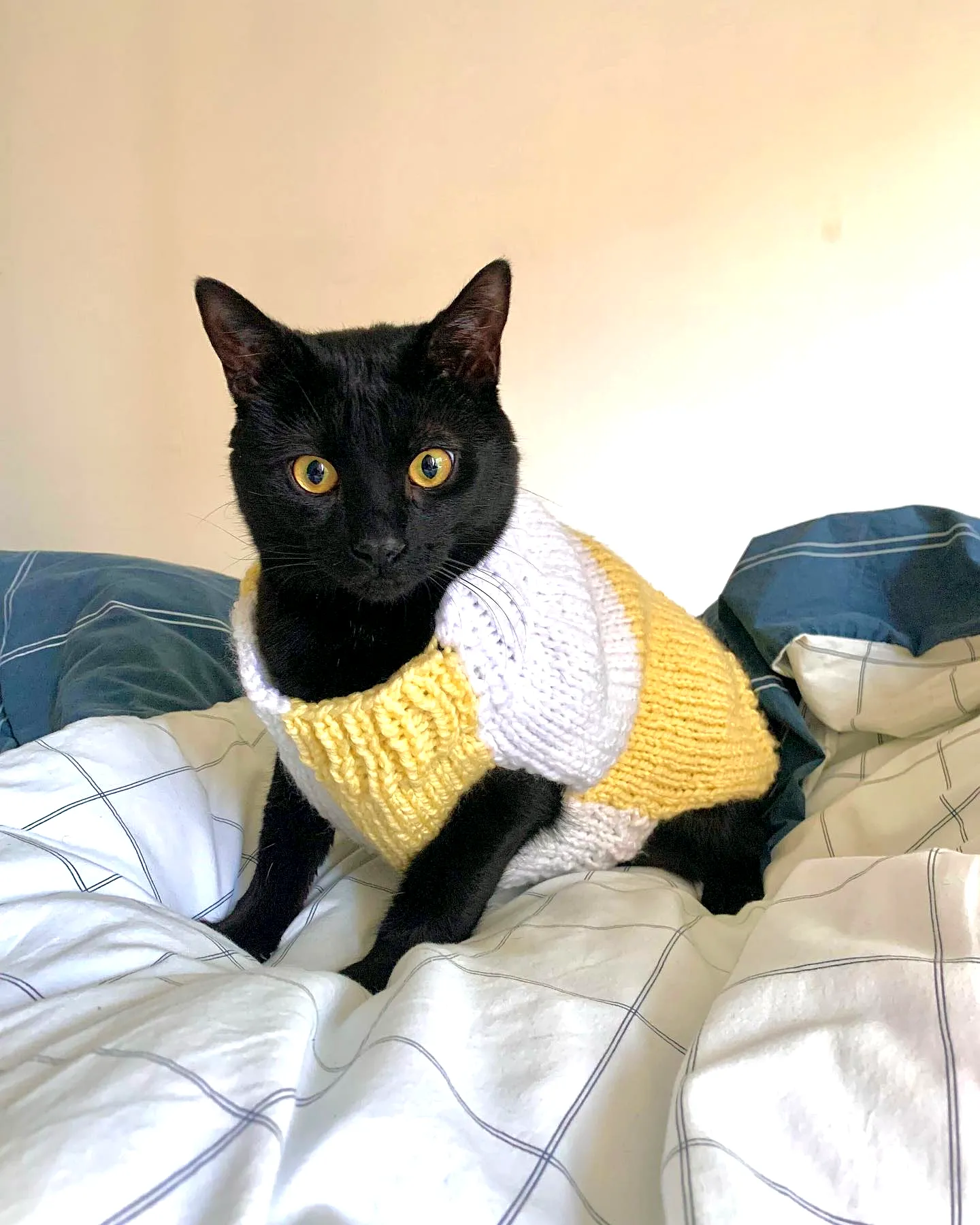 Adorable crochet cat sweater in yellow and white stripes