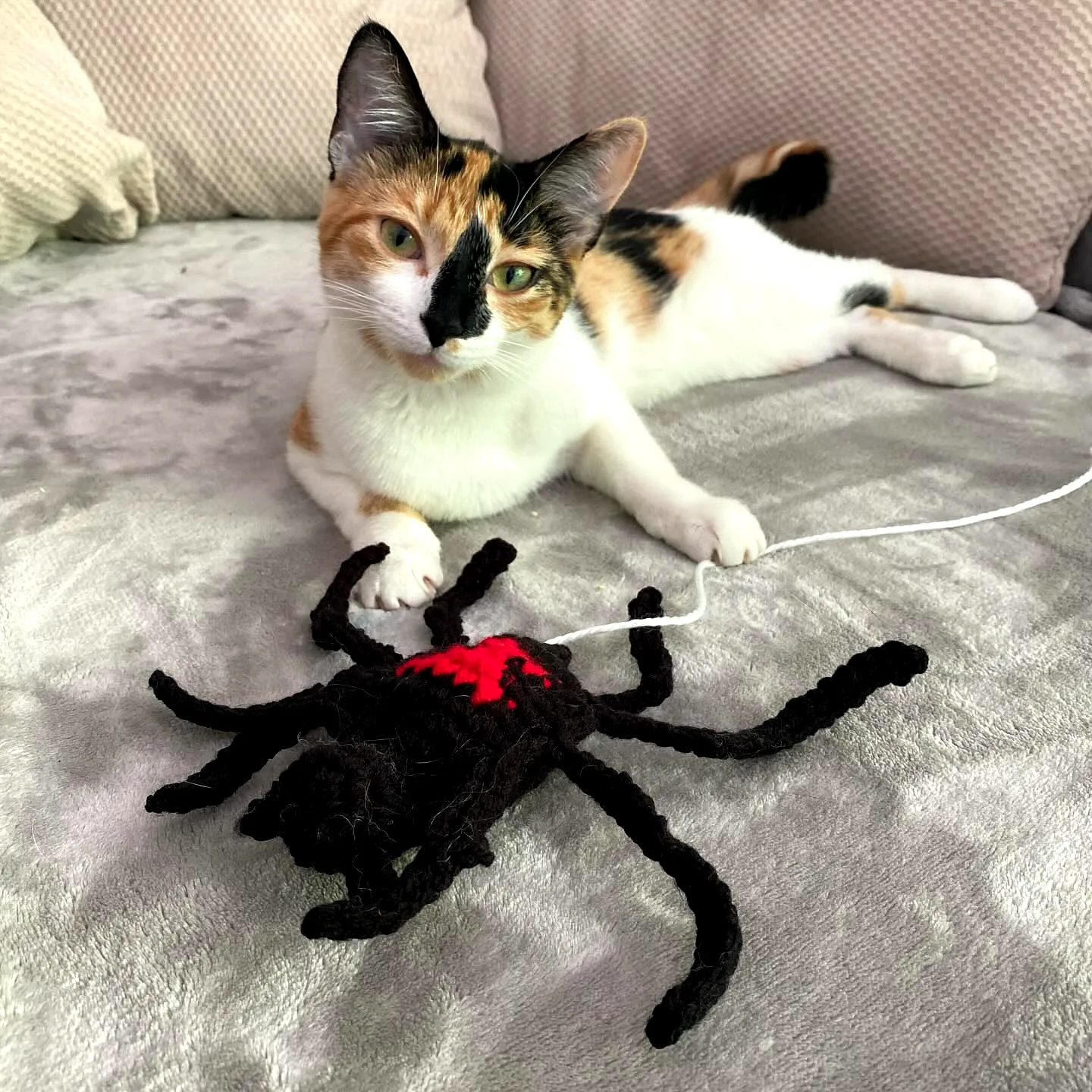 Adorable Crochet Cat Toy Spider in Black and Red for Cats