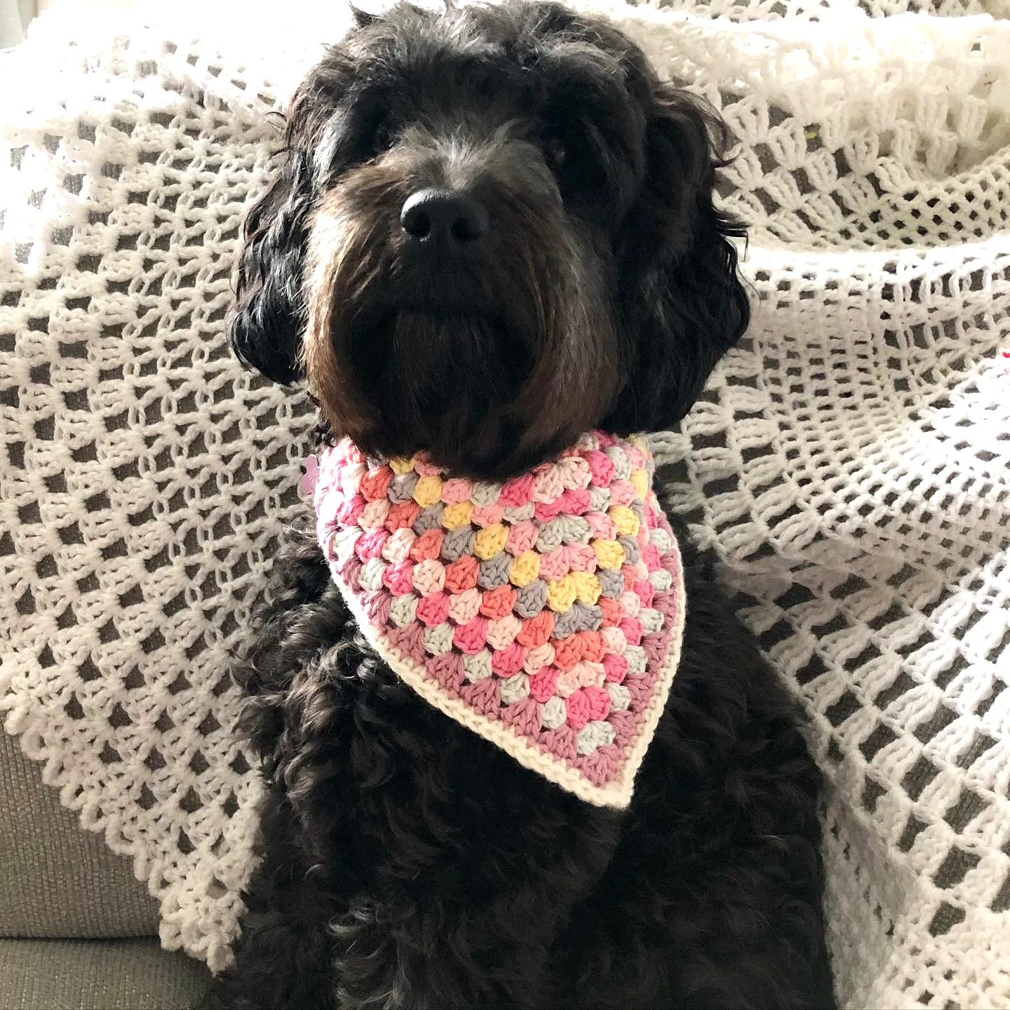 Adorable Crochet Dog Bandana in Vibrant Granny Square Style