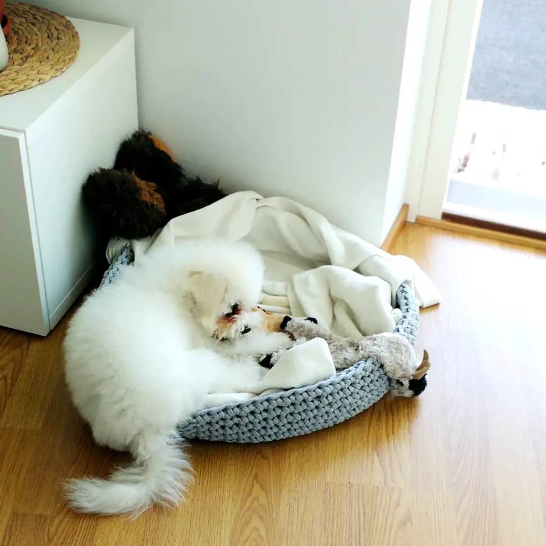 Adorable Crochet Dog Bed in Soft Gray with Stylish Edge
