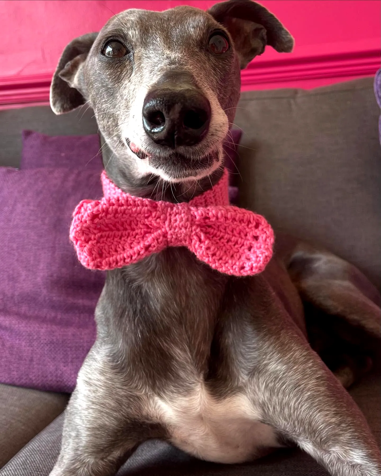 Adorable Crochet Dog Bow Tie in Solid Pink for Stylish Pets