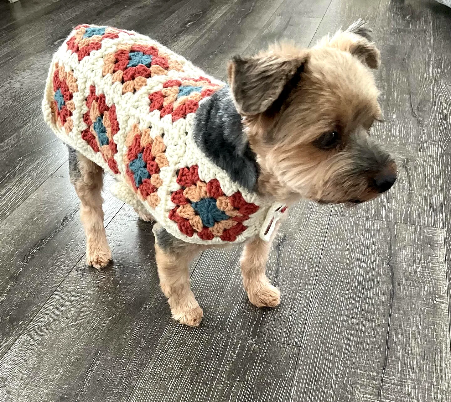 Adorable Crochet Dog Sweater in Colorful Granny Square Style
