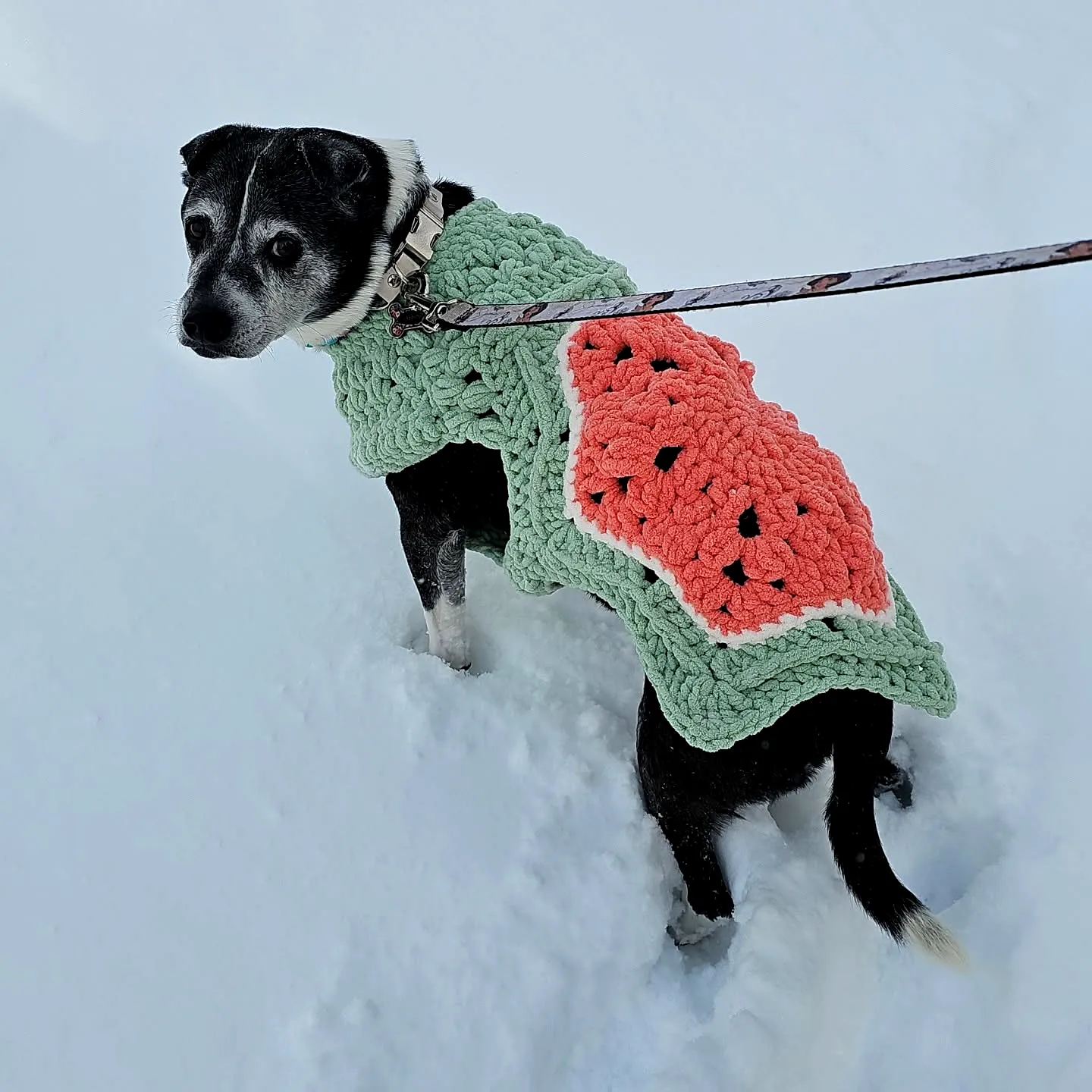 Adorable Crochet Dog Sweater in Vibrant Watermelon Style
