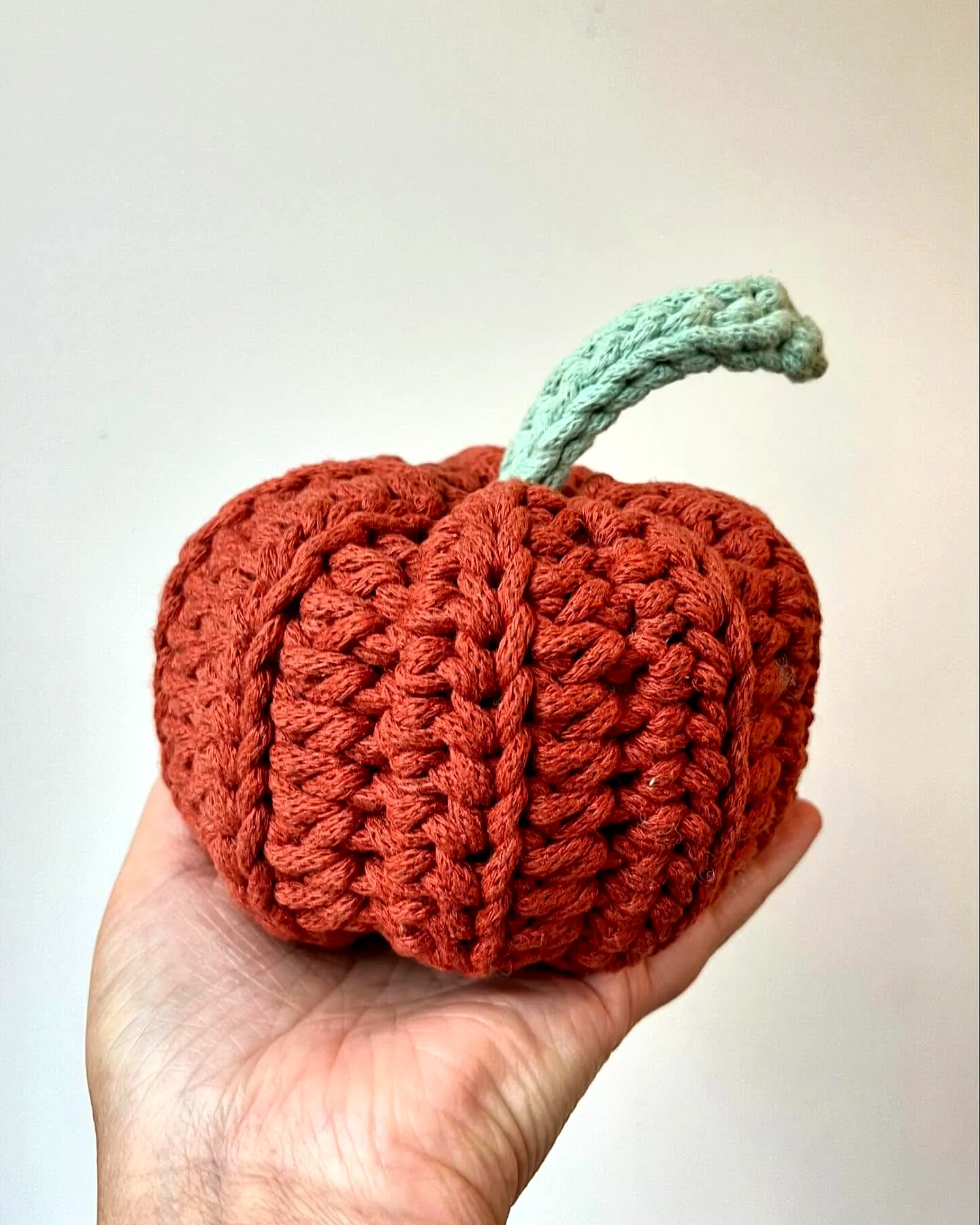 Adorable crochet dog toy pumpkin in vibrant orange design