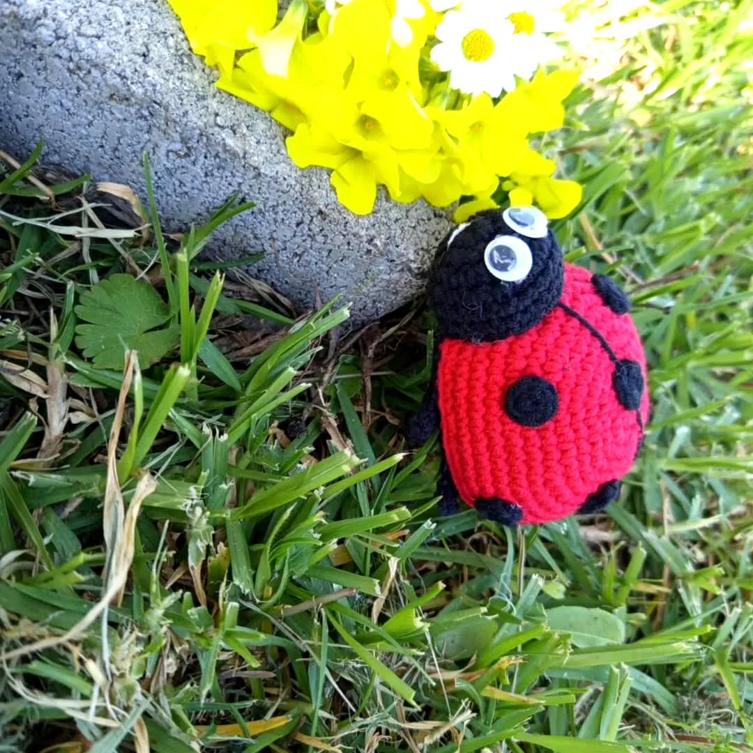 Adorable Crochet Ladybug Toy in Vibrant Red and Black