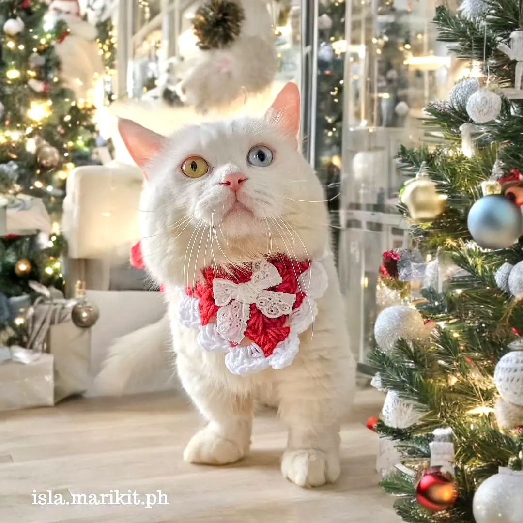 Adorable Crochet Pet Bandana in Festive Red and White