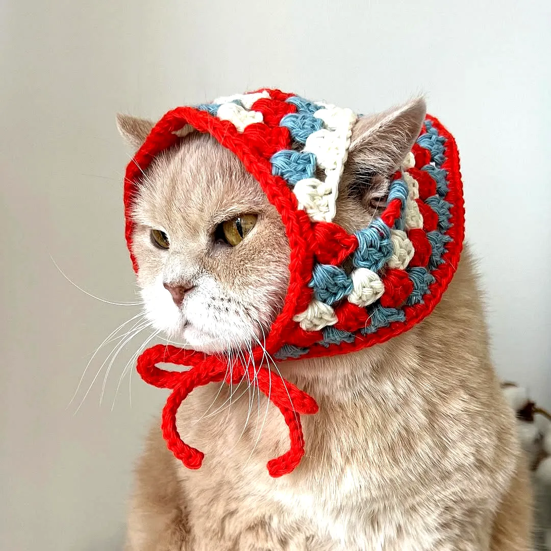 Adorable Crochet Pet Hat in Vibrant Granny Square Style