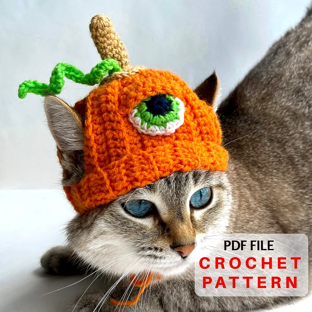 Adorable Crochet Pet Hat in Vibrant Pumpkin Style