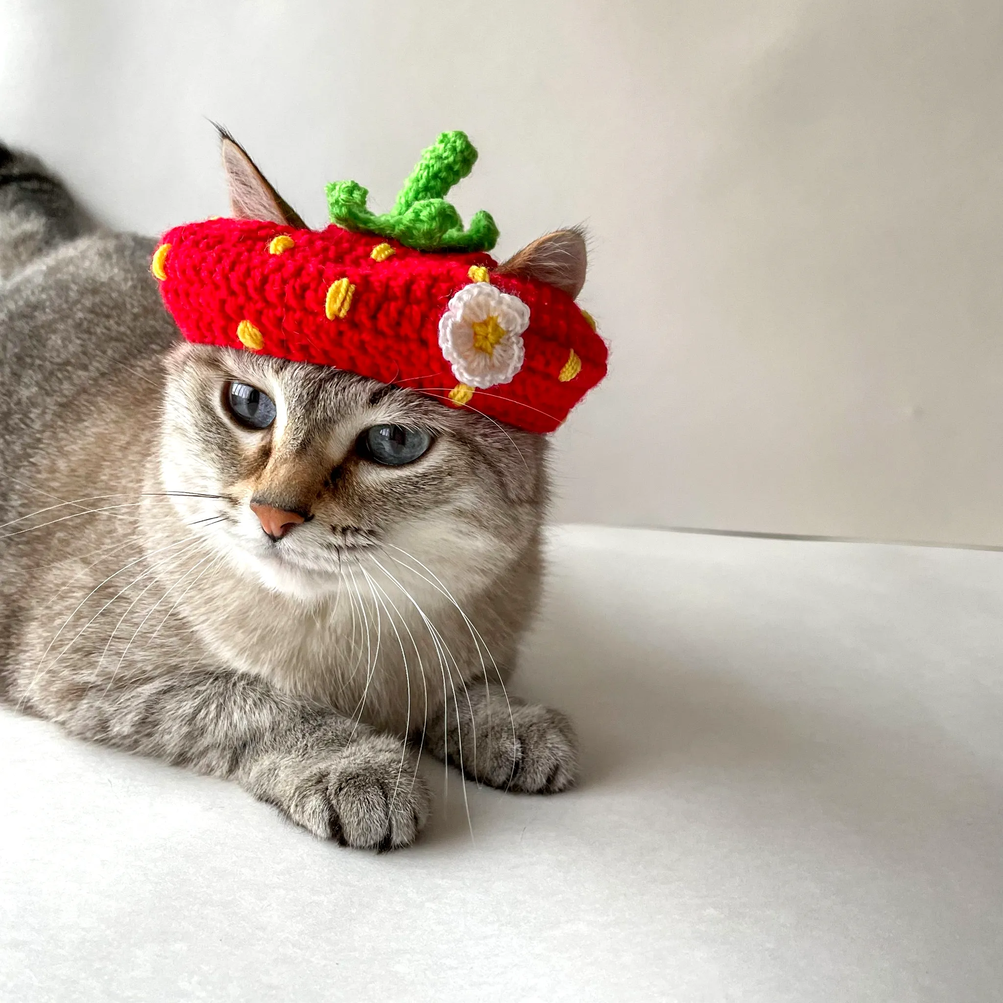 Adorable Crochet Pet Hat in Vibrant Strawberry Style
