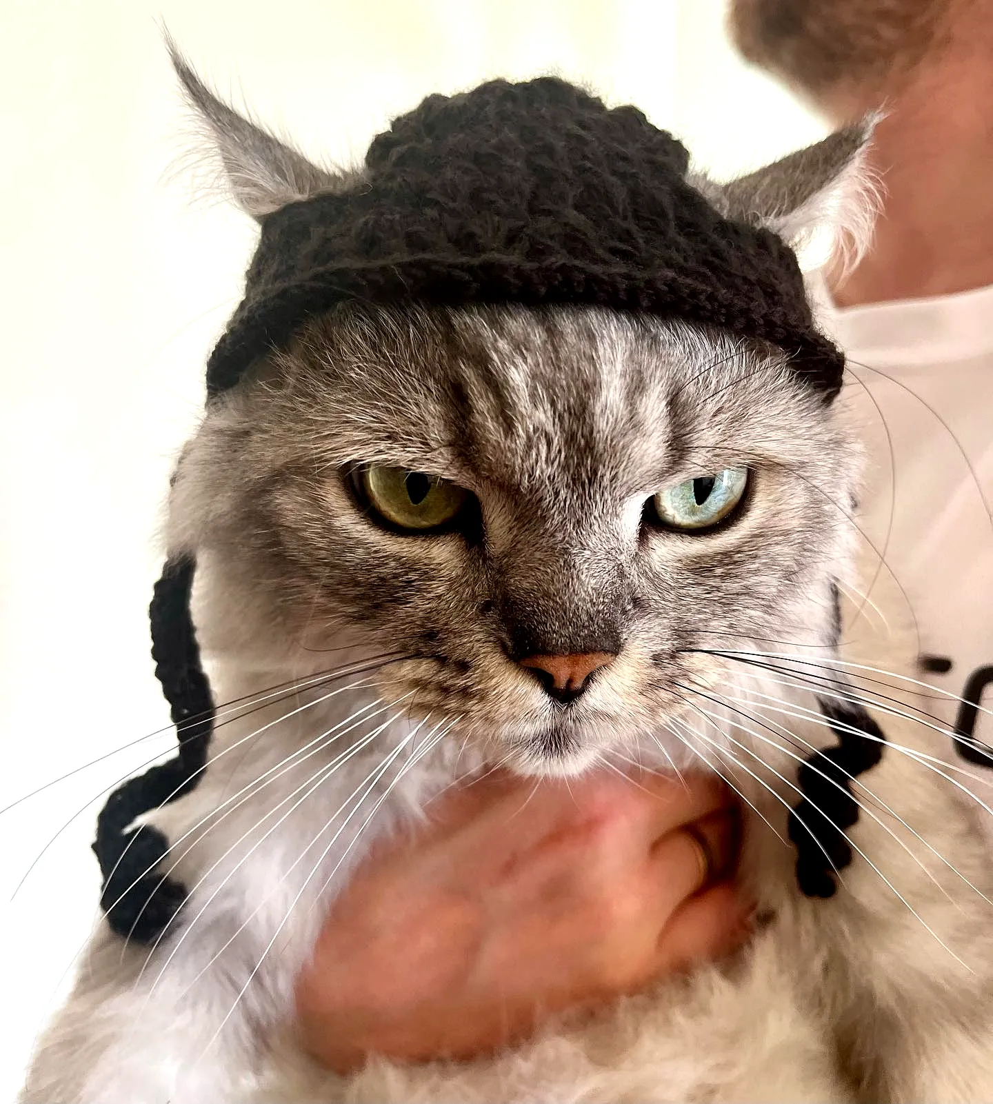 Adorable Crochet Pet Hat in Vintage Aviator Style for Cats