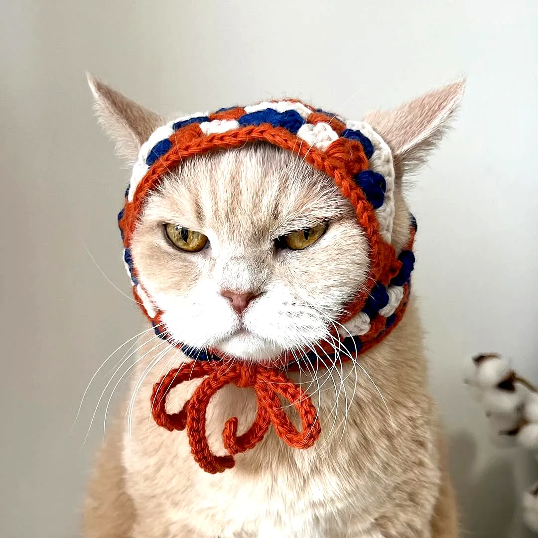 Adorable Crochet Pet Hat in Vintage Style with Cheerful Colors