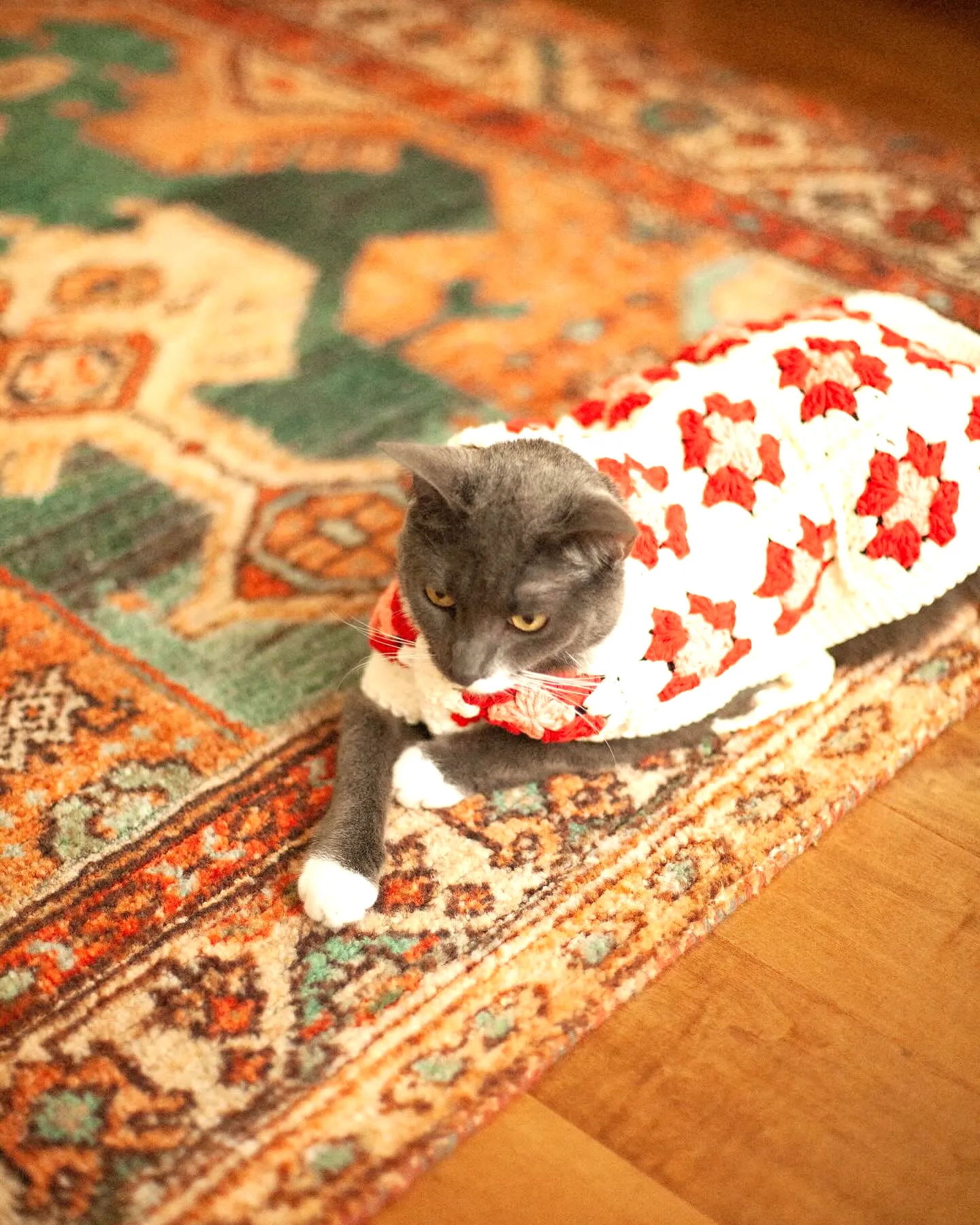 Adorable Crochet Pet Sweater in White and Red Patchwork Style