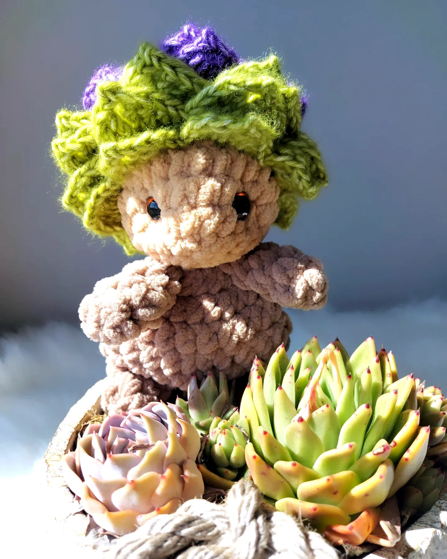 Adorable Crochet Succulent in Vibrant Earthy Tones
