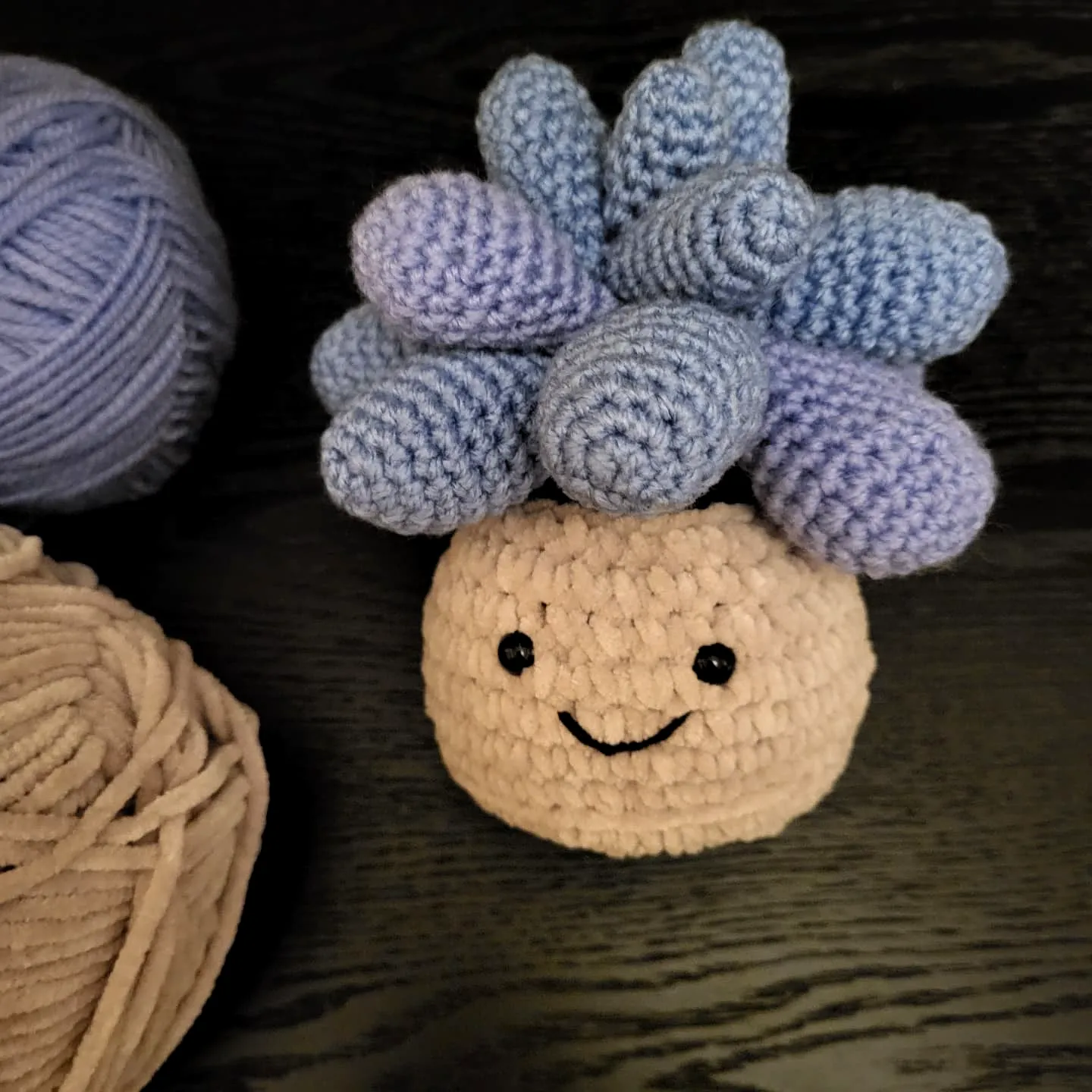 Adorable Crochet Succulent with Blue Ombre Leaves