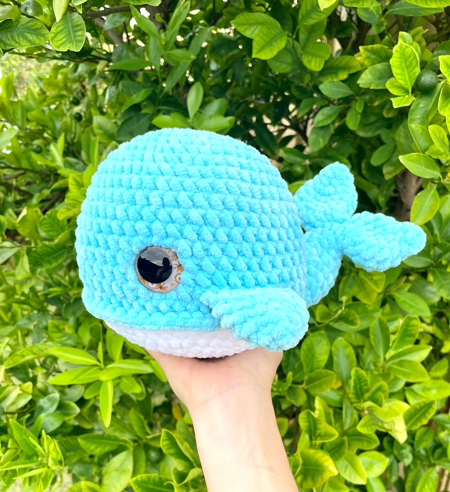Adorable Crochet Whale in Soft Textured Turquoise and White