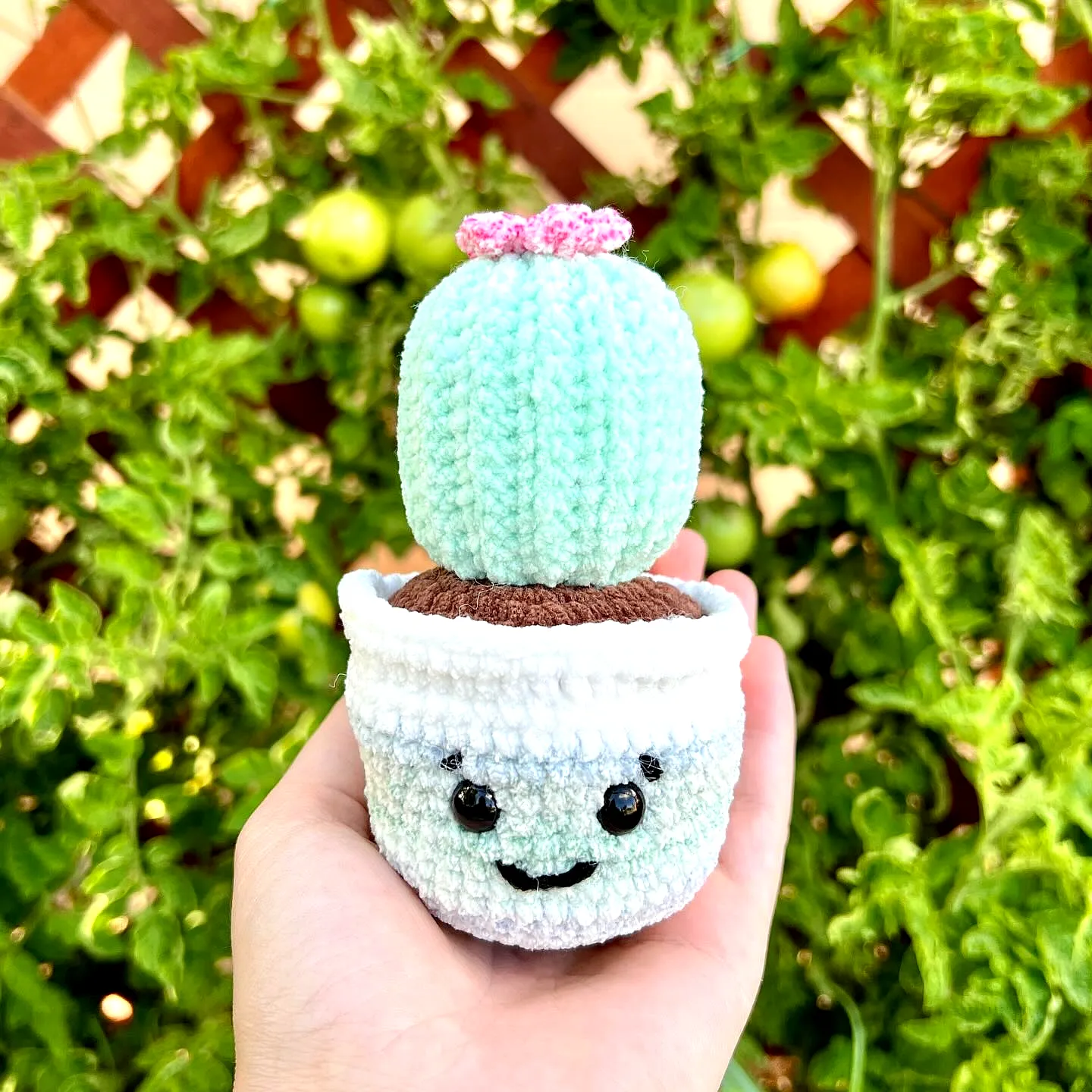 Adorable Easy Crochet Cactus in Vibrant Colors and Style