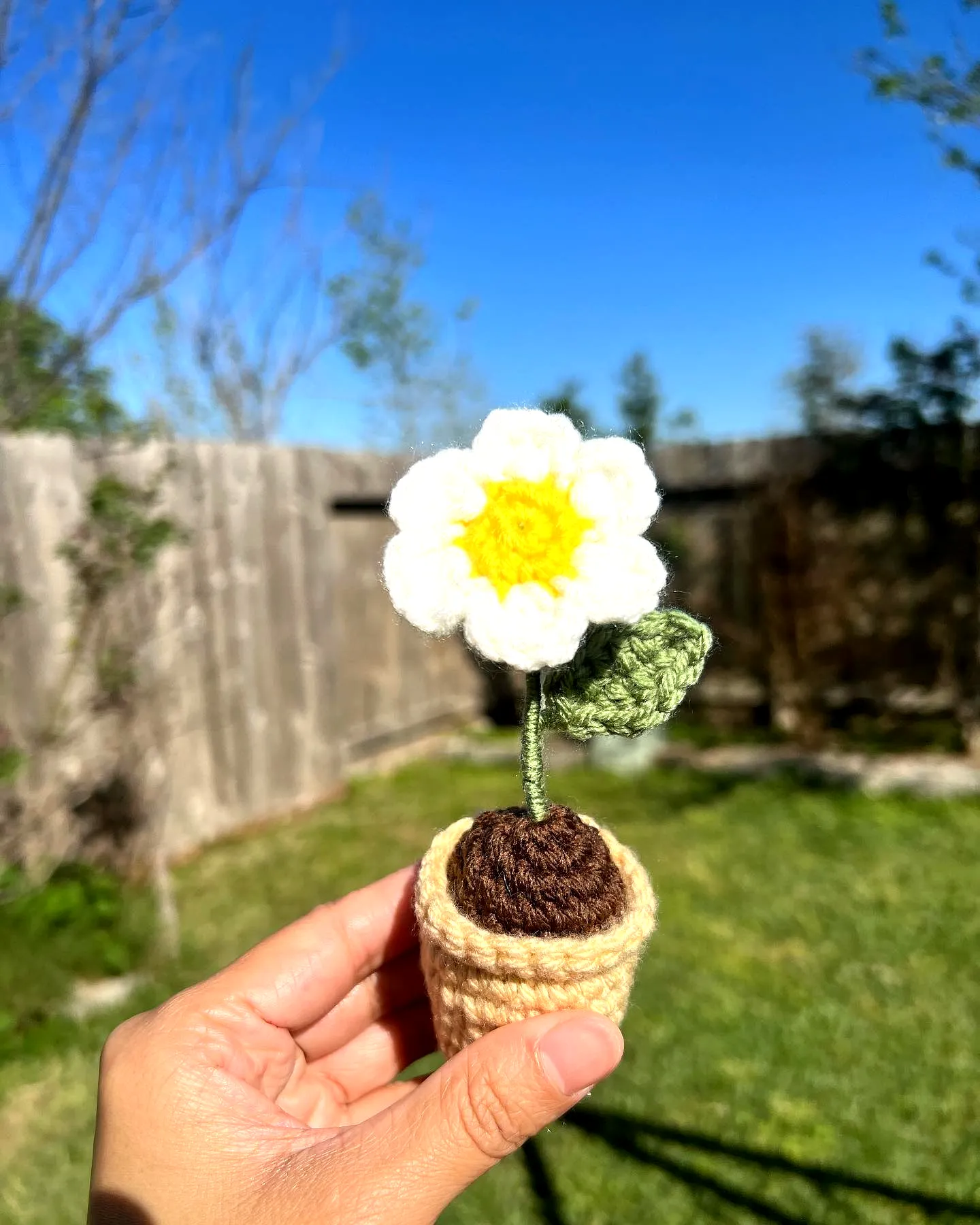 Adorable Easy Crochet Daisy in Cheerful White and Yellow
