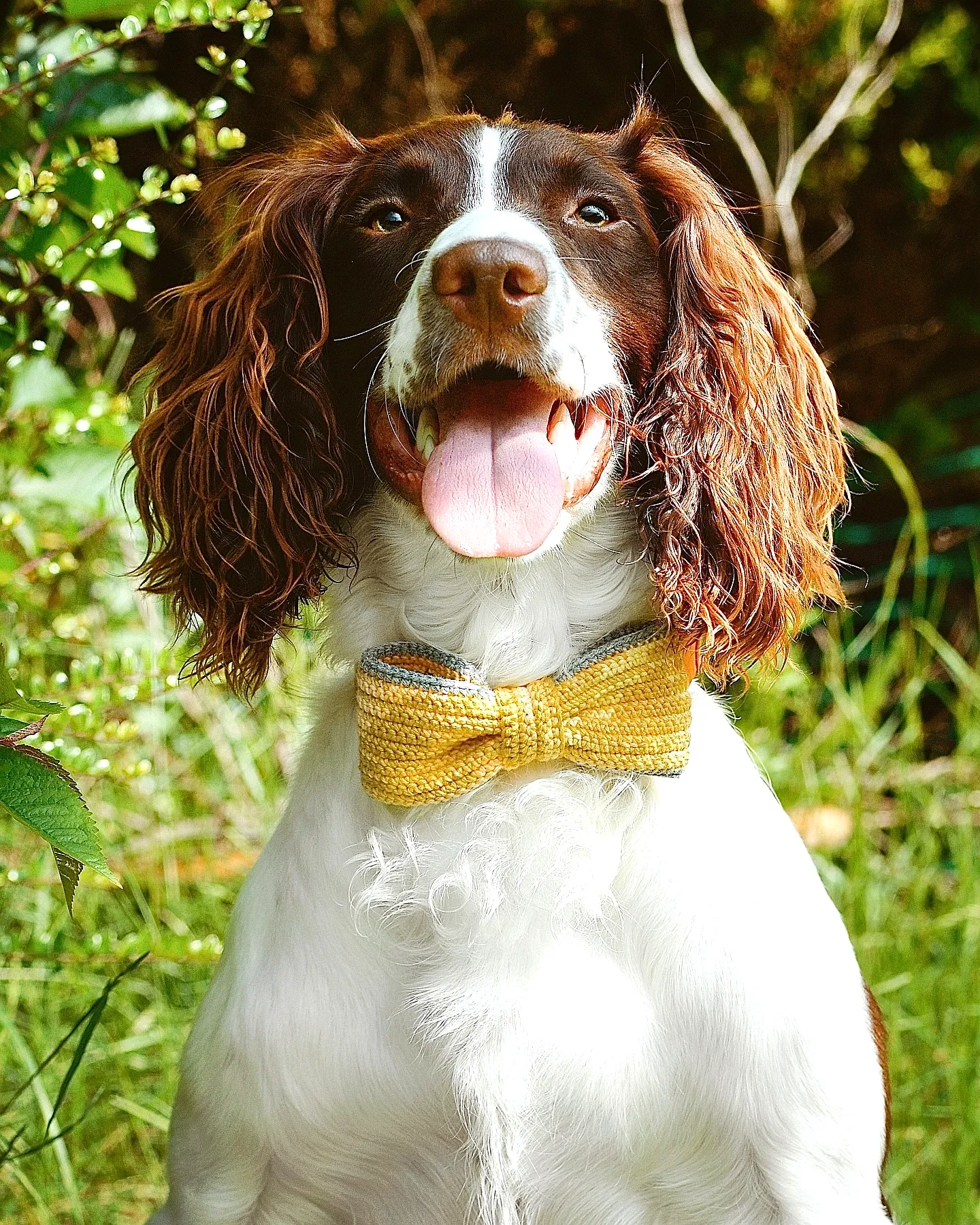 Adorable Easy Crochet Dog Bow Tie in Cheerful Yellow