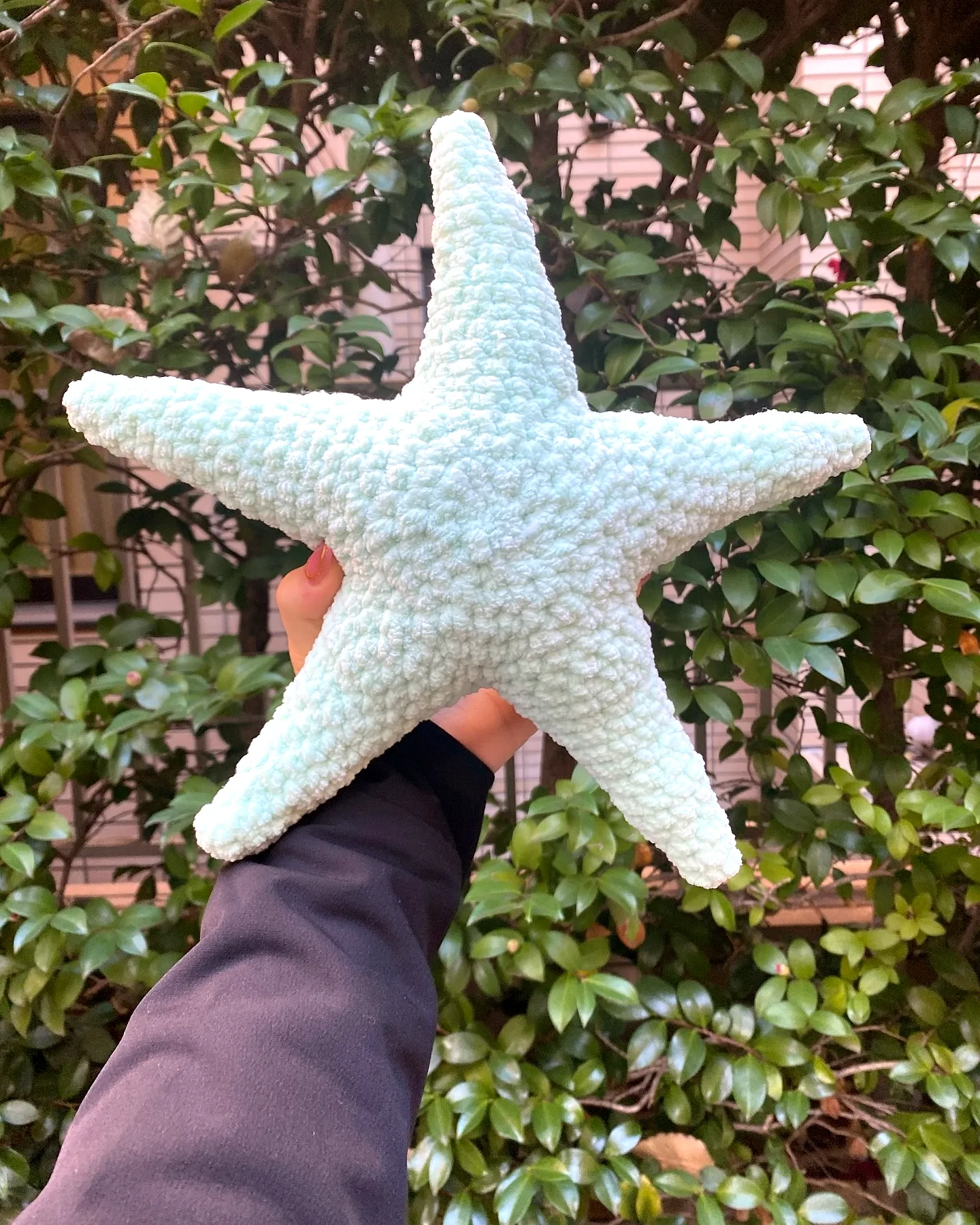 Adorable light blue crochet starfish