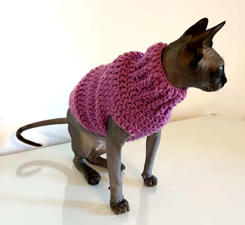 Adorable pink crochet cat sweater with high-neck ribbed design