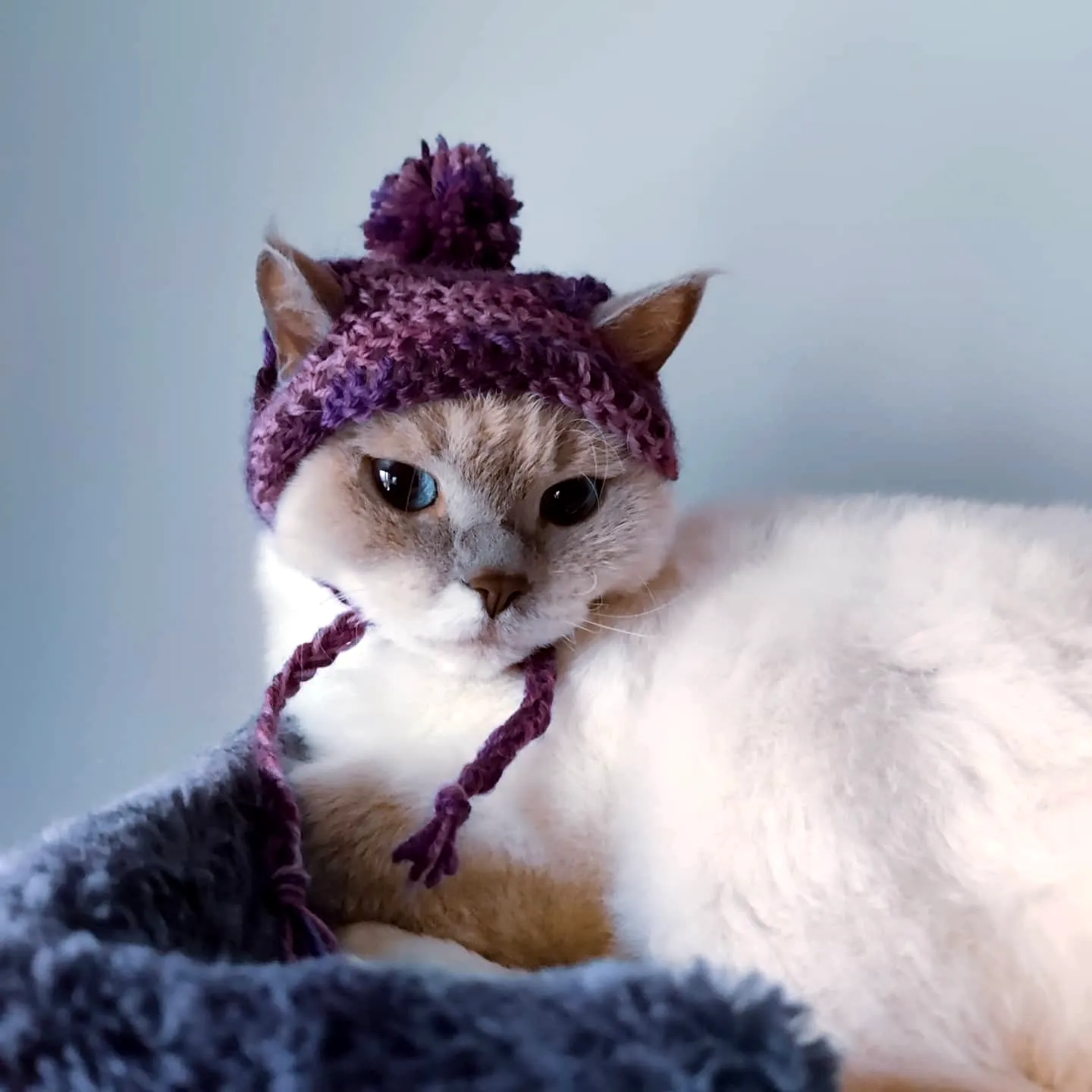 Adorable Purple Crochet Pet Hat with Ear Flaps and Pom-Pom