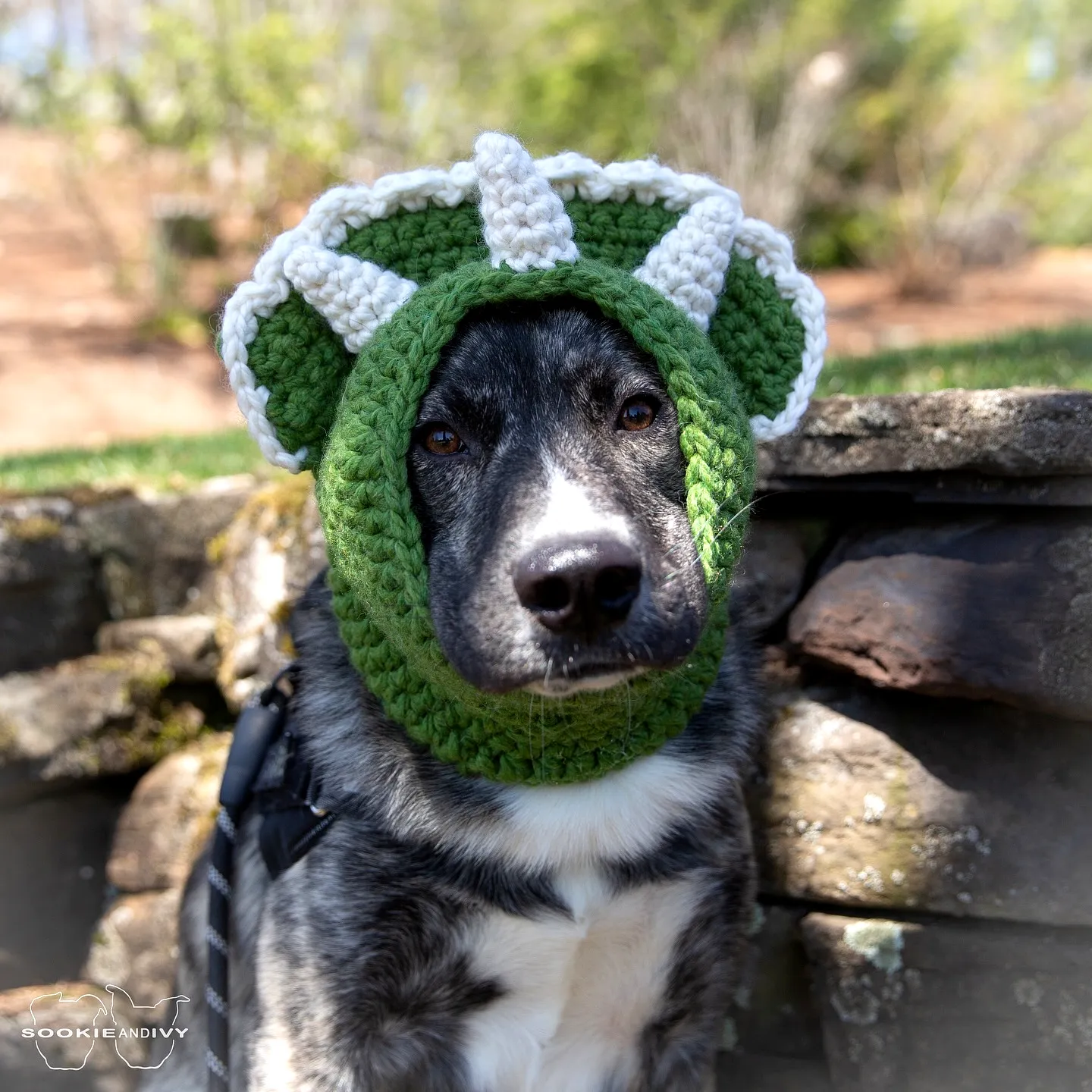 Adorable vibrant green crochet pet hat with cactus design