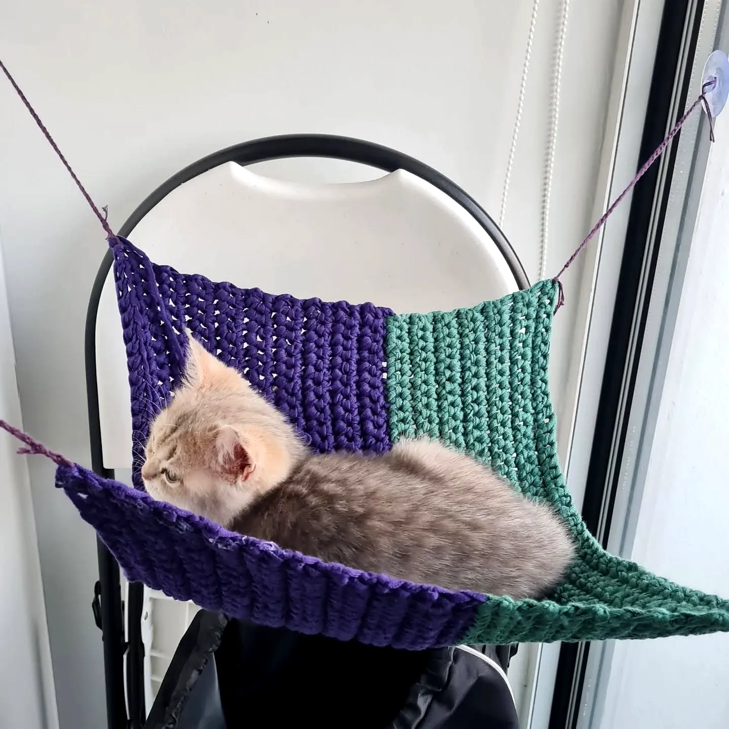 Charming Crochet Cat Hammock in Colorful Purple and Green