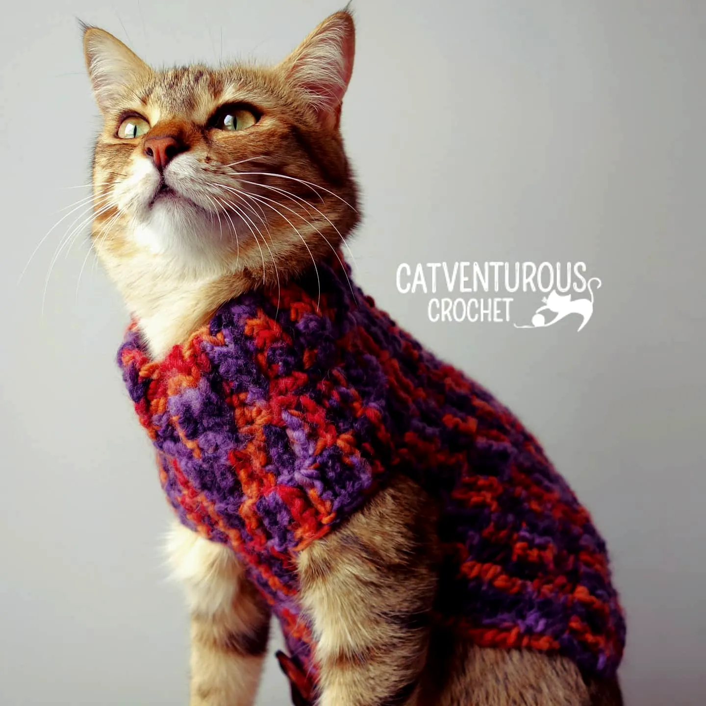 Charming Crochet Cat Sweater in Vibrant Purple and Orange