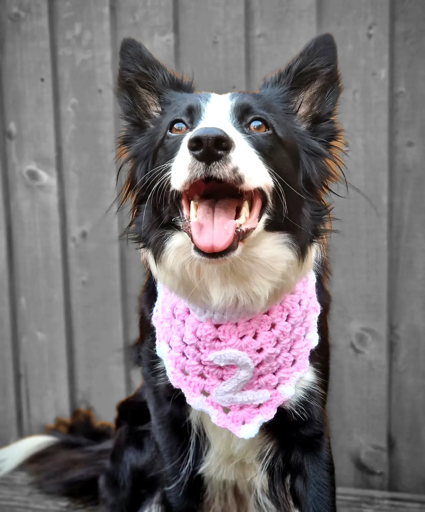 Charming Crochet Pet Bandana in Vibrant Pink for Stylish Dogs