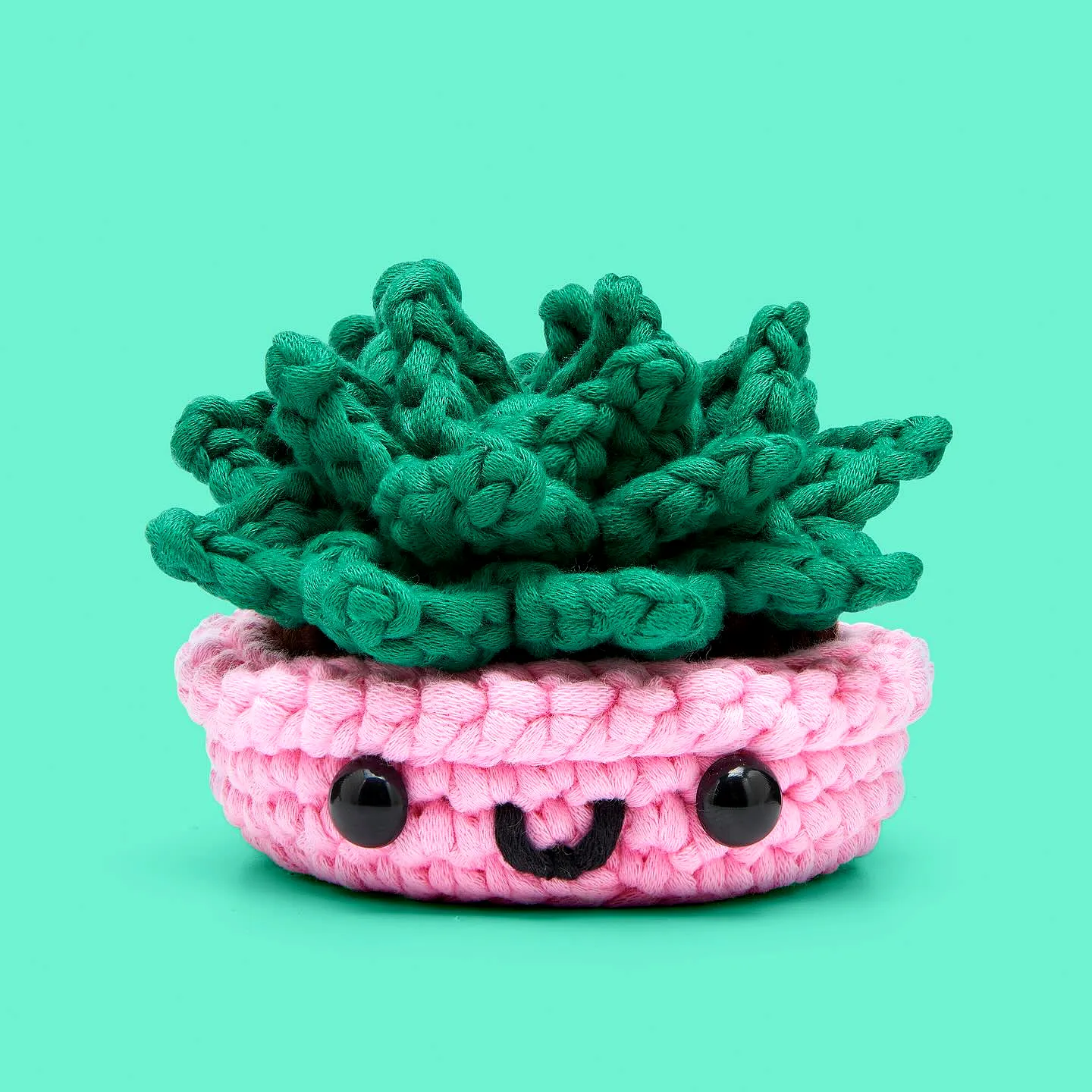 Charming Crochet Succulent in Pink Planter