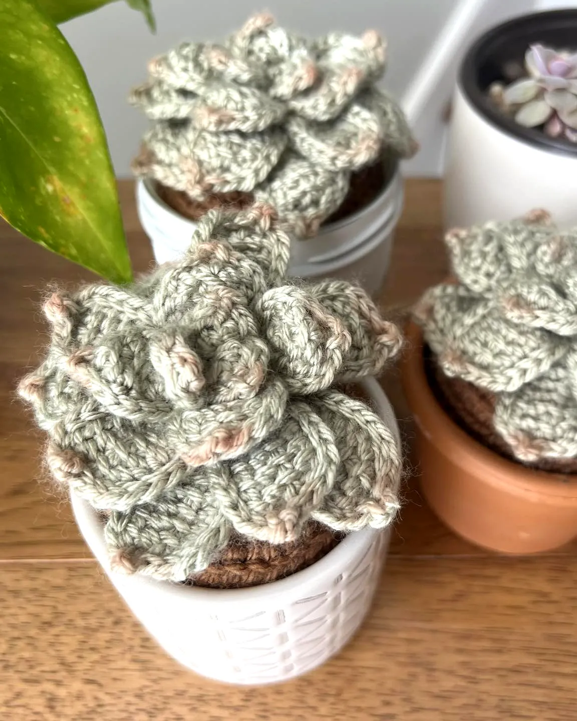 Charming Crochet Succulent in Vibrant Green and Pink Tones