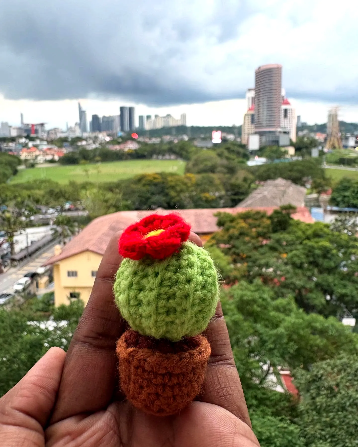Charming Easy Crochet Cactus with Vibrant Colors and Flowers