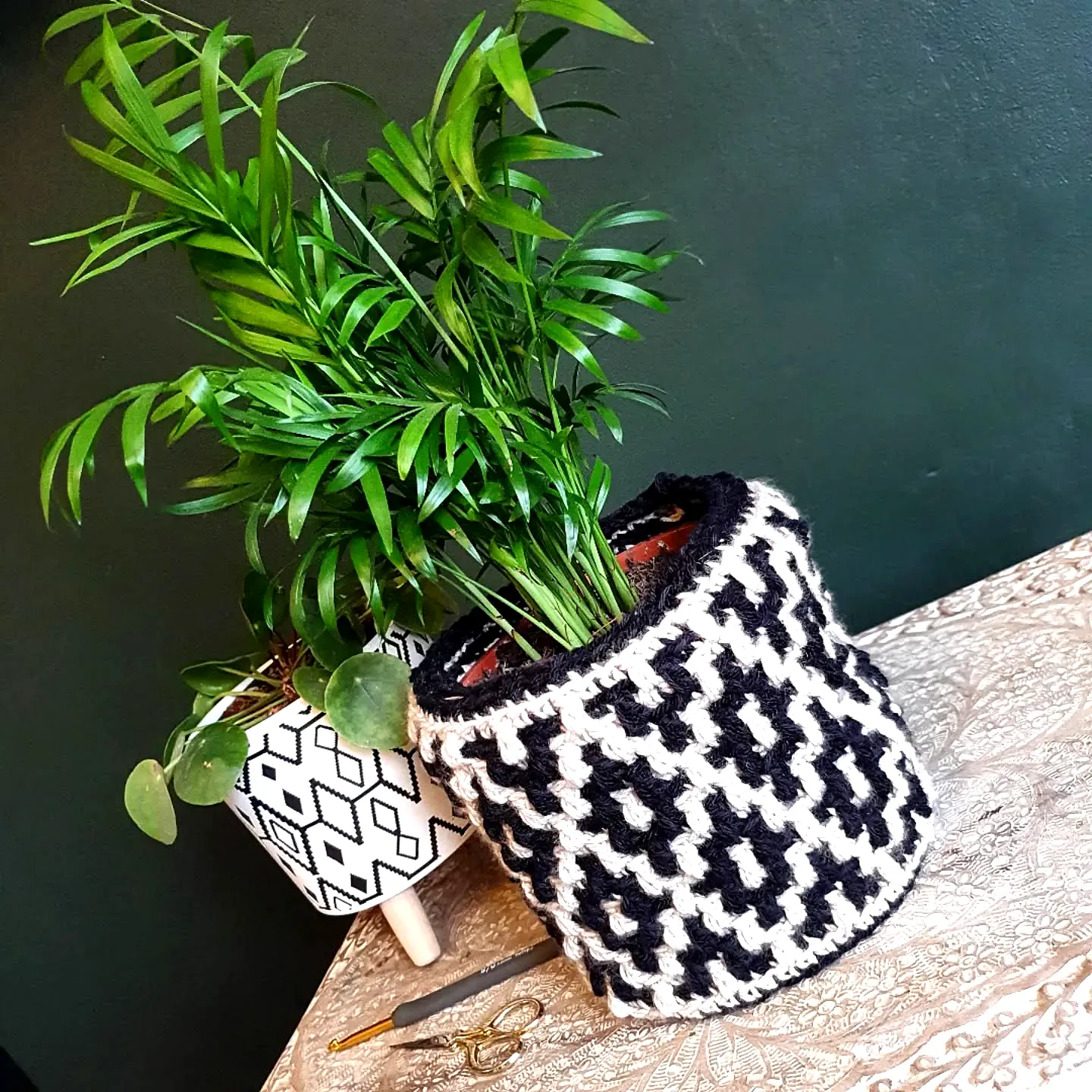Chic Crochet Plant Pot Cover in Modern Black and Cream Design