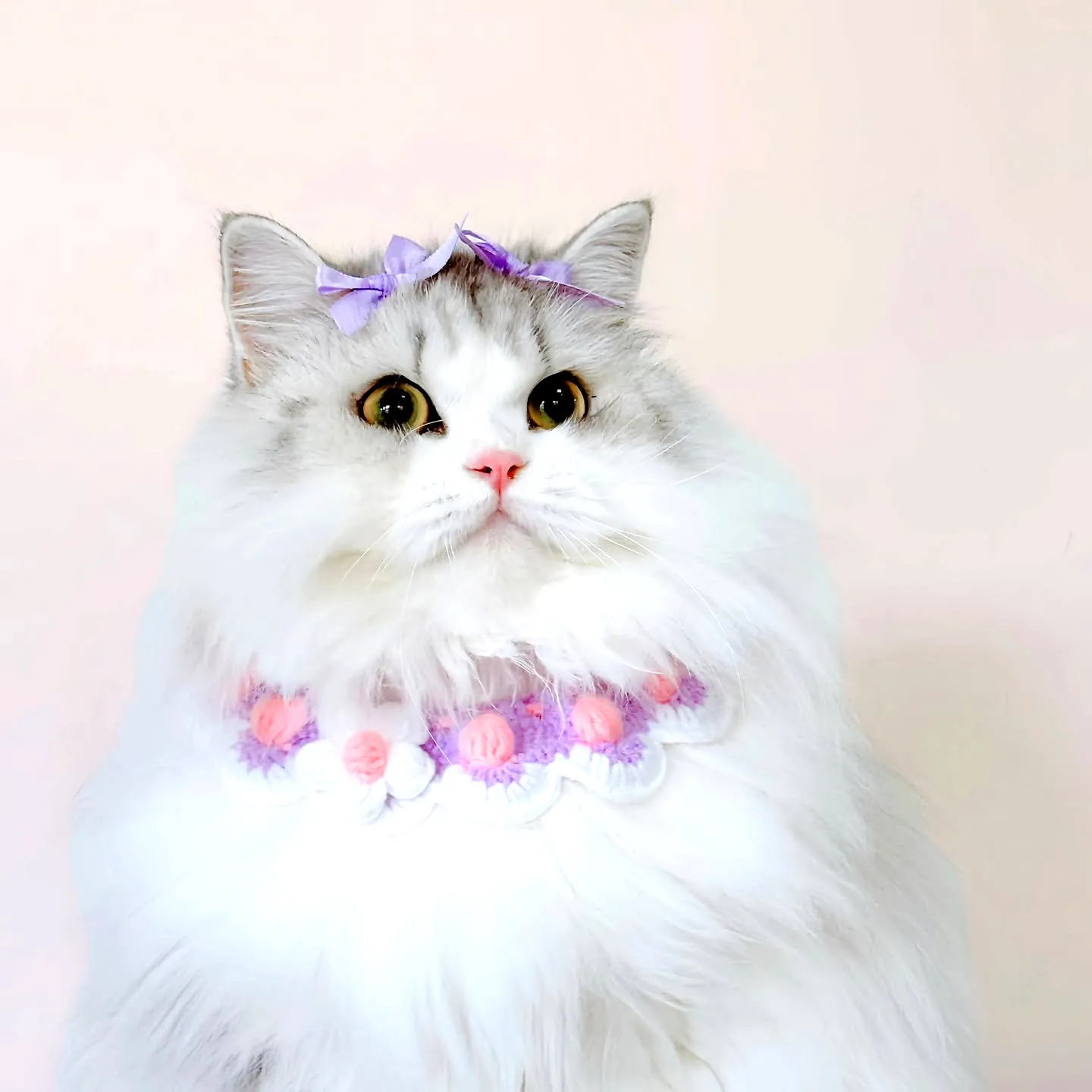 Colorful Crochet Cat Collar with Scalloped Design and Pom-Poms