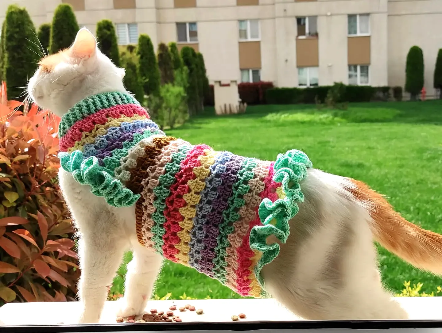 Colorful Crochet Cat Sweater with Ruffled Edges for Beginners