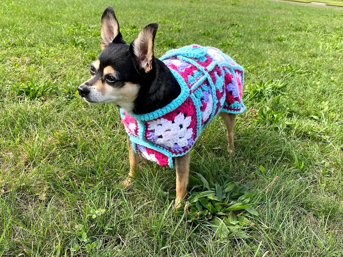 Colorful Crochet Dog Coat with Granny Square Design for Stylish Pups