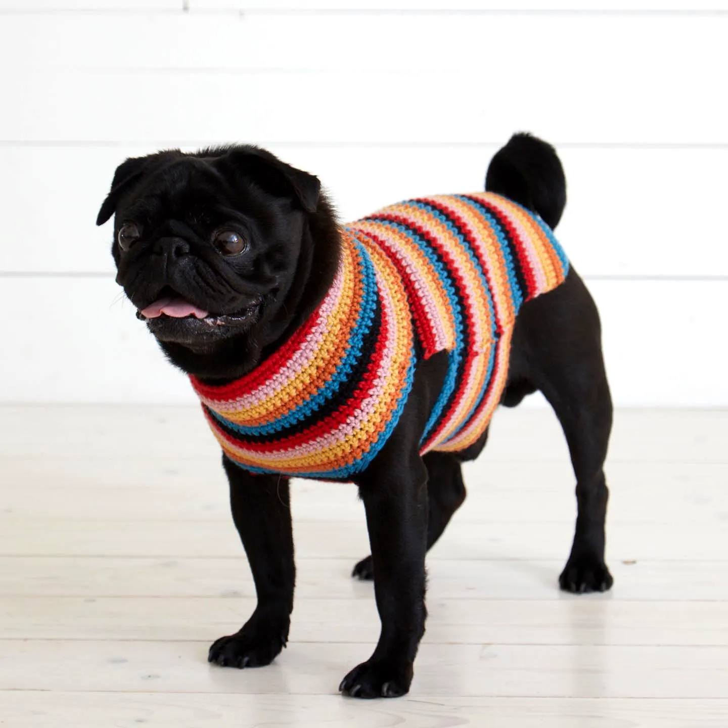 Colorful Crochet Dog Sweater in Stripes for Stylish Comfort