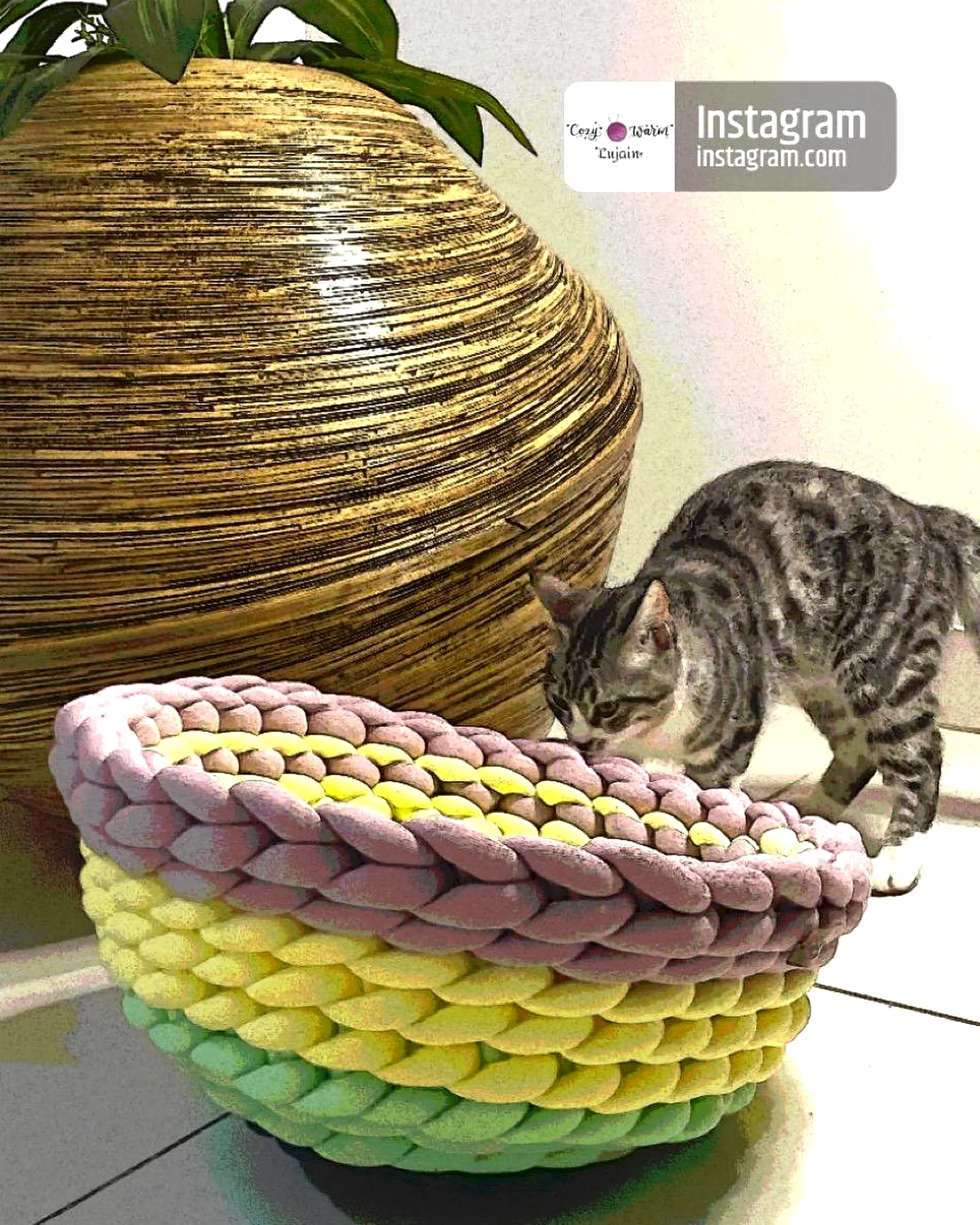 Colorful Crochet Pet Bed in Pastel Shades for Cozy Comfort