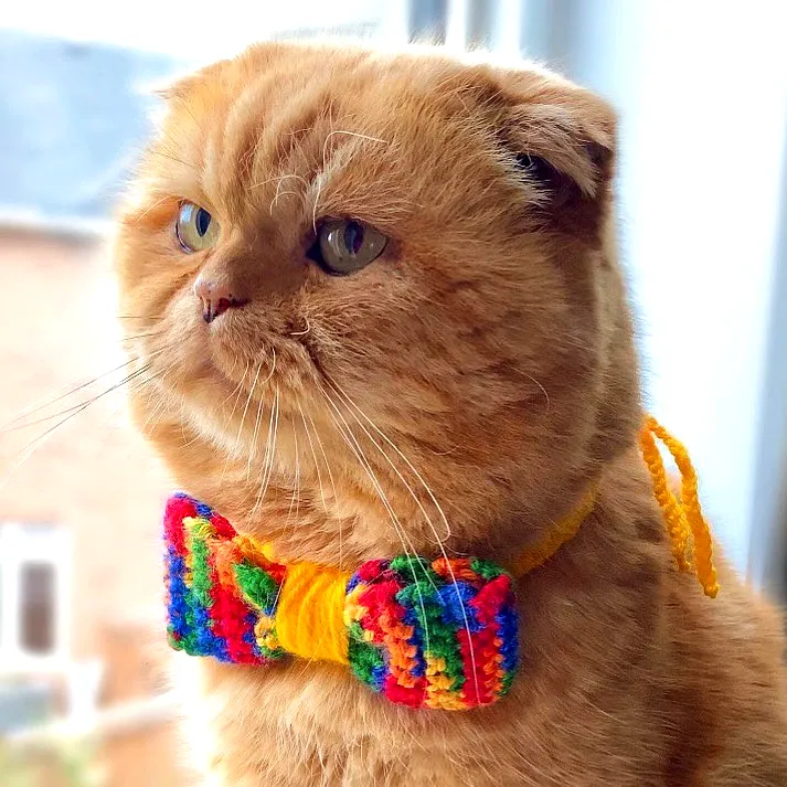 Colorful Crochet Pet Bow Tie for Stylish Pets Easy to Make