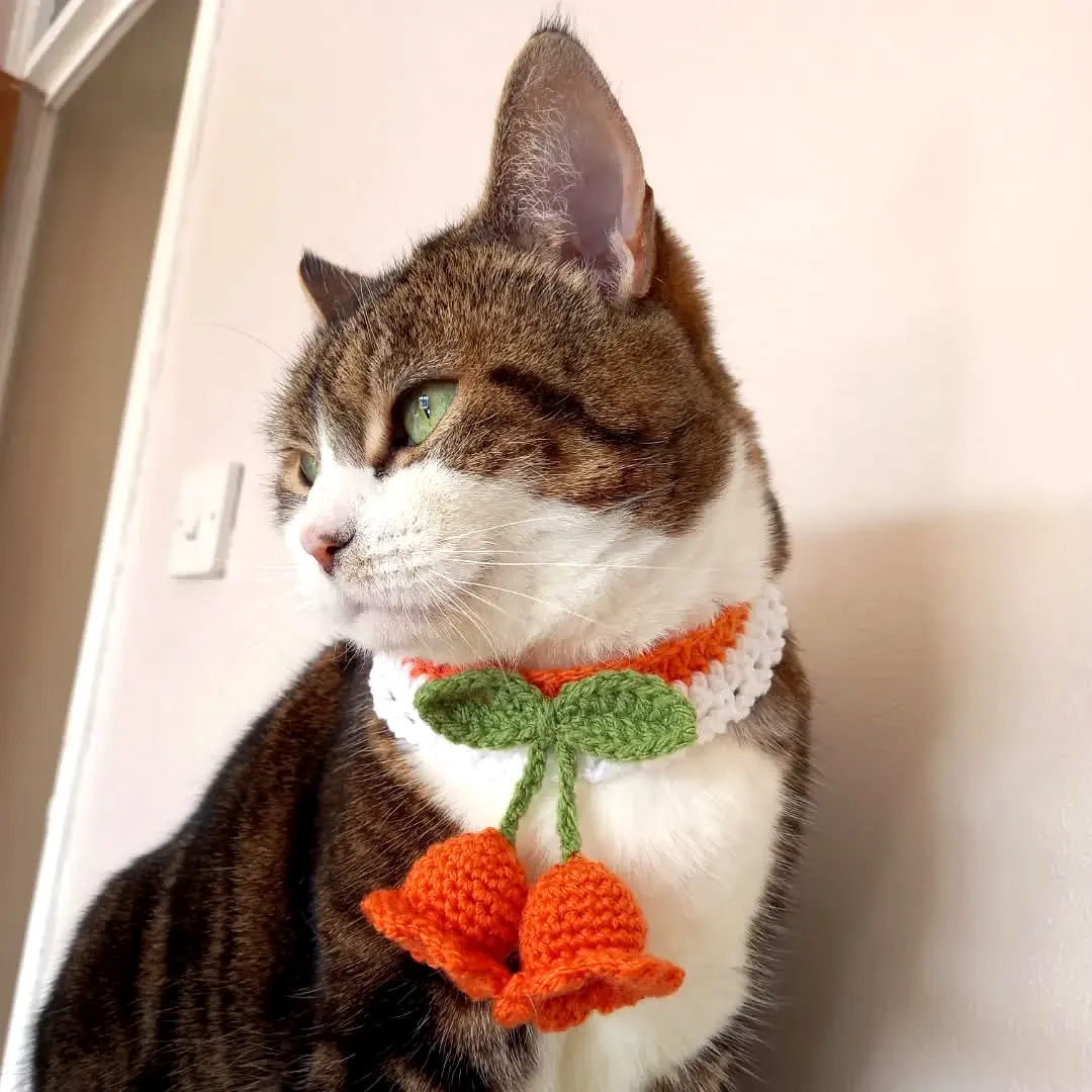 Colorful Crochet Pet Collar with Floral Design for Small Pets