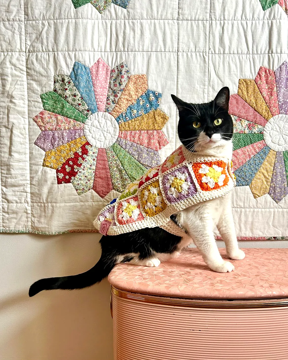 Colorful Crochet Pet Sweater with Floral Patchwork Design