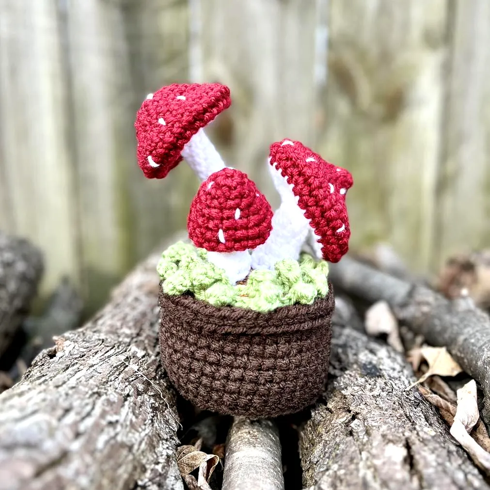 Colorful Crochet Toadstool Decor with Vibrant Mushrooms