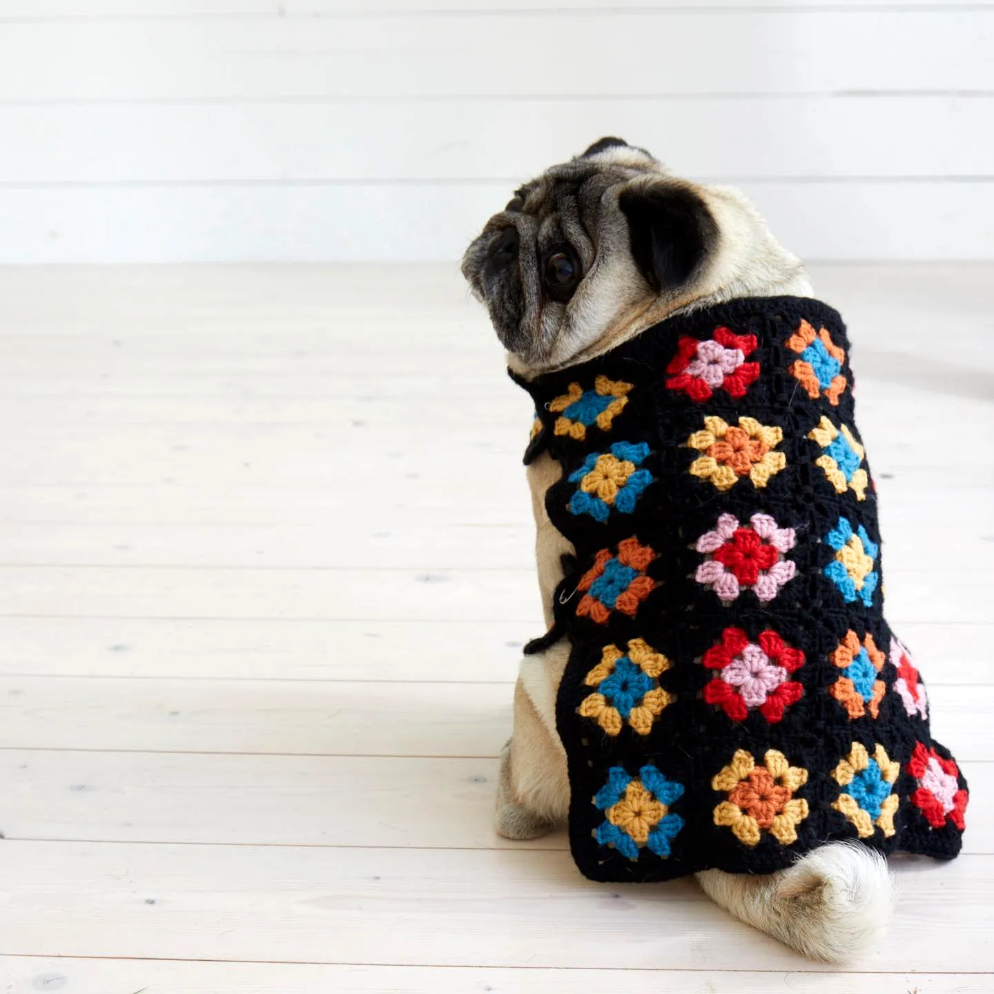 Colorful Granny Square Crochet Dog Sweater for Stylish Pets