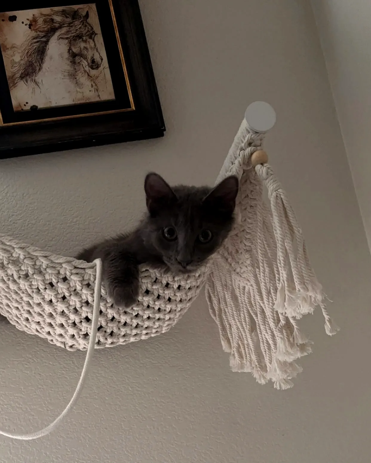 Cozy Cream Crochet Cat Hammock with Stylish Tassel Design