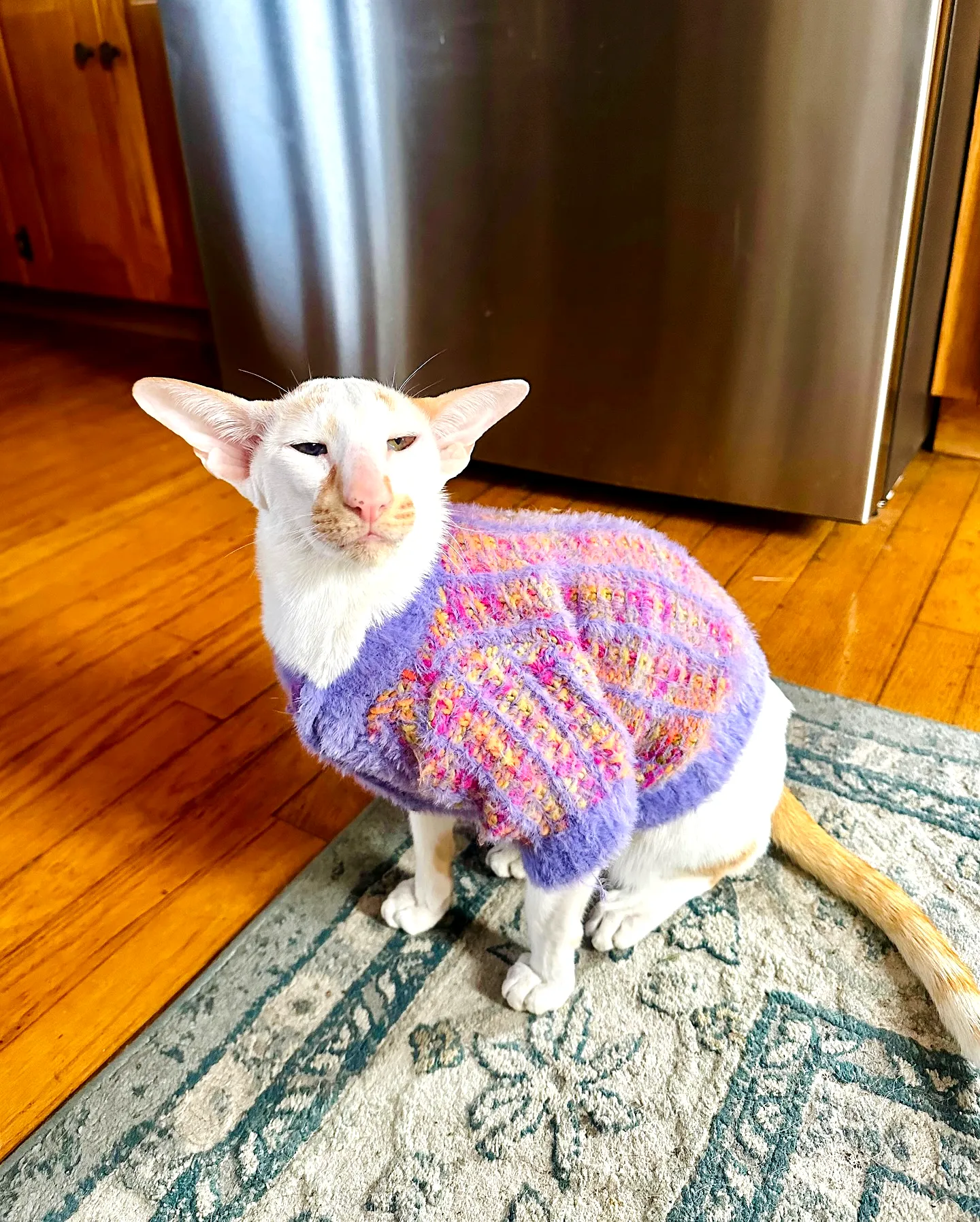 Cozy Crochet Cat Sweater in Purple Pastels