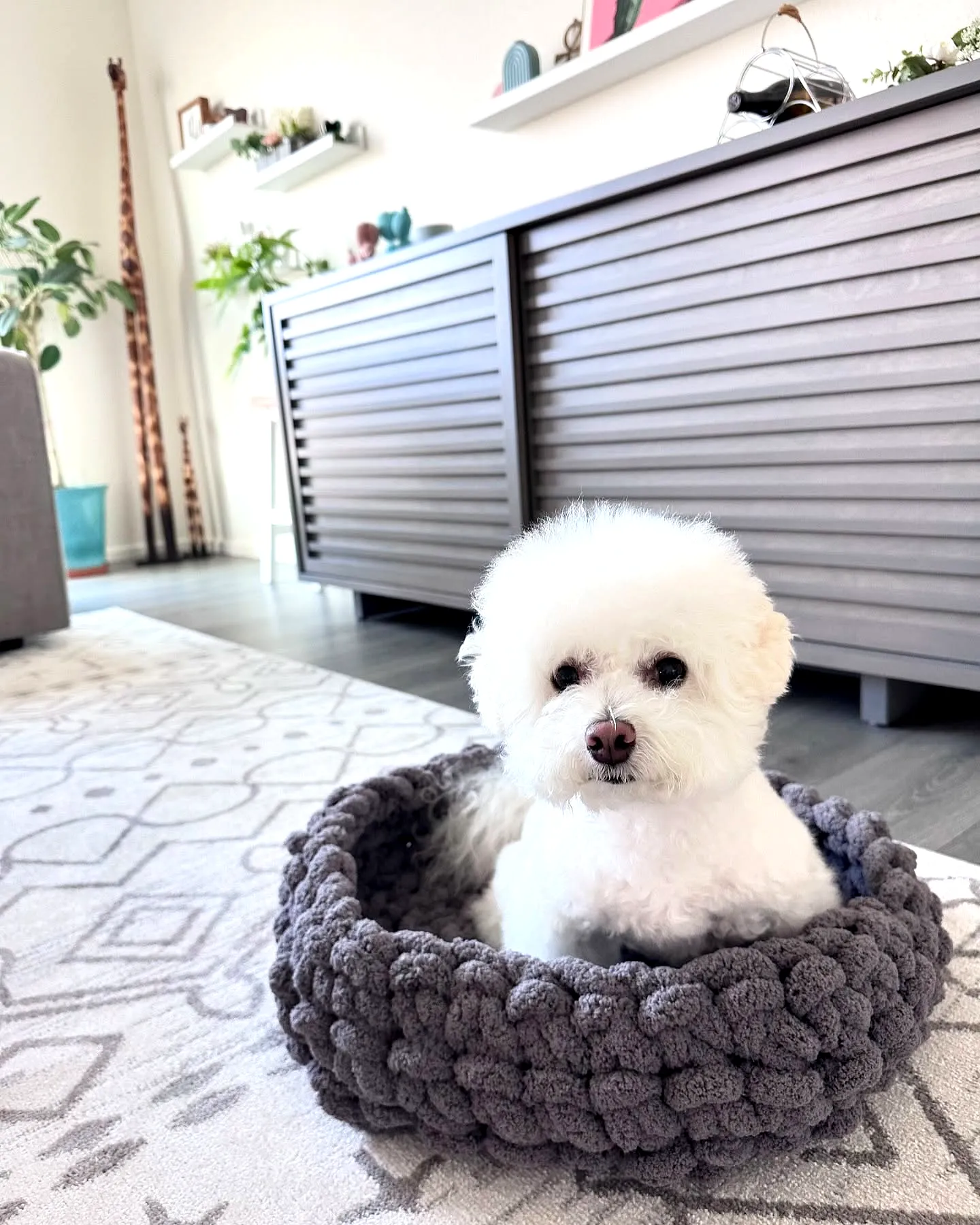 Cozy Deep Gray Crochet Dog Bed for Stylish Small Dogs