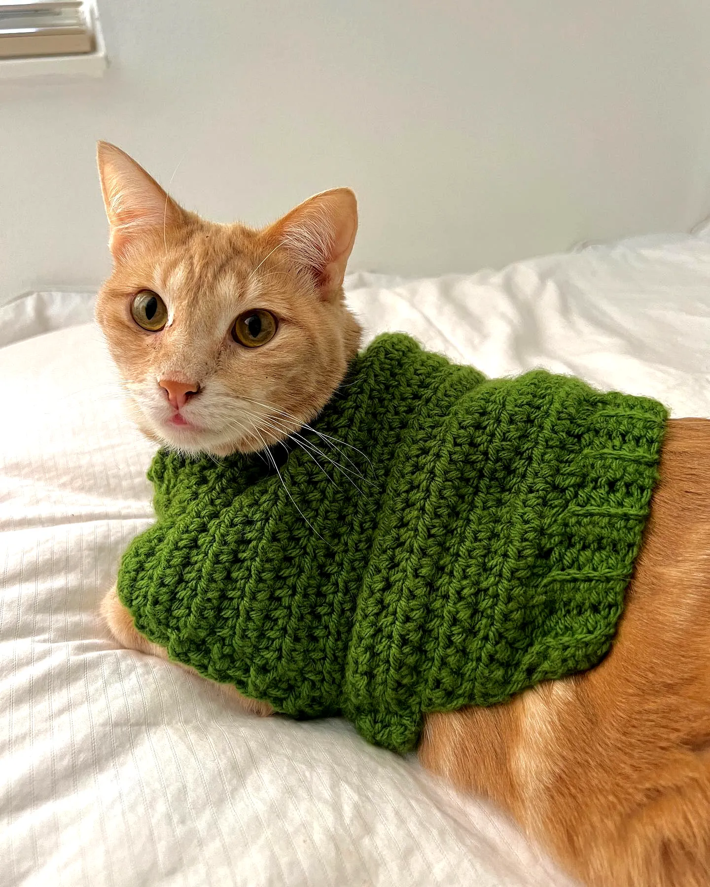 Cozy Green Crochet Pet Sweater for Stylish Cats