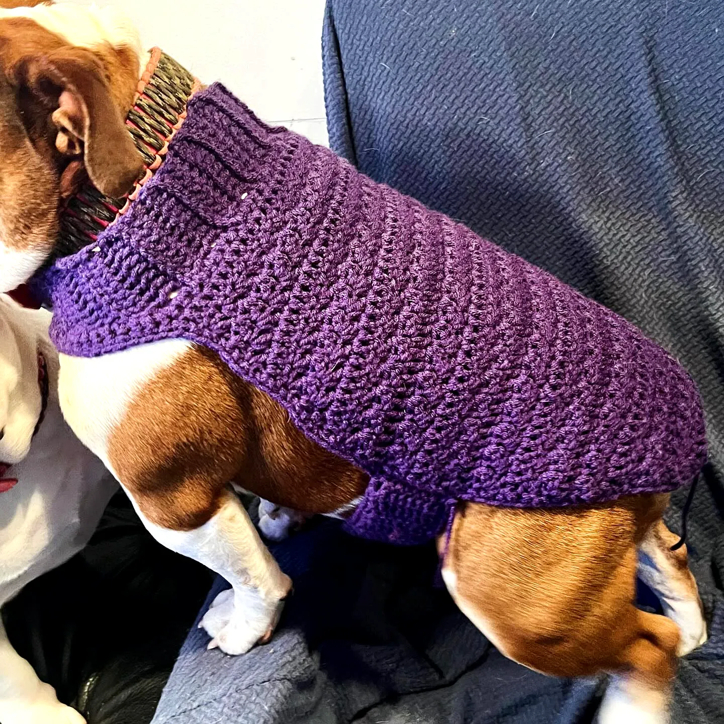 Cozy Purple Crochet Pet Sweater for Stylish Dogs